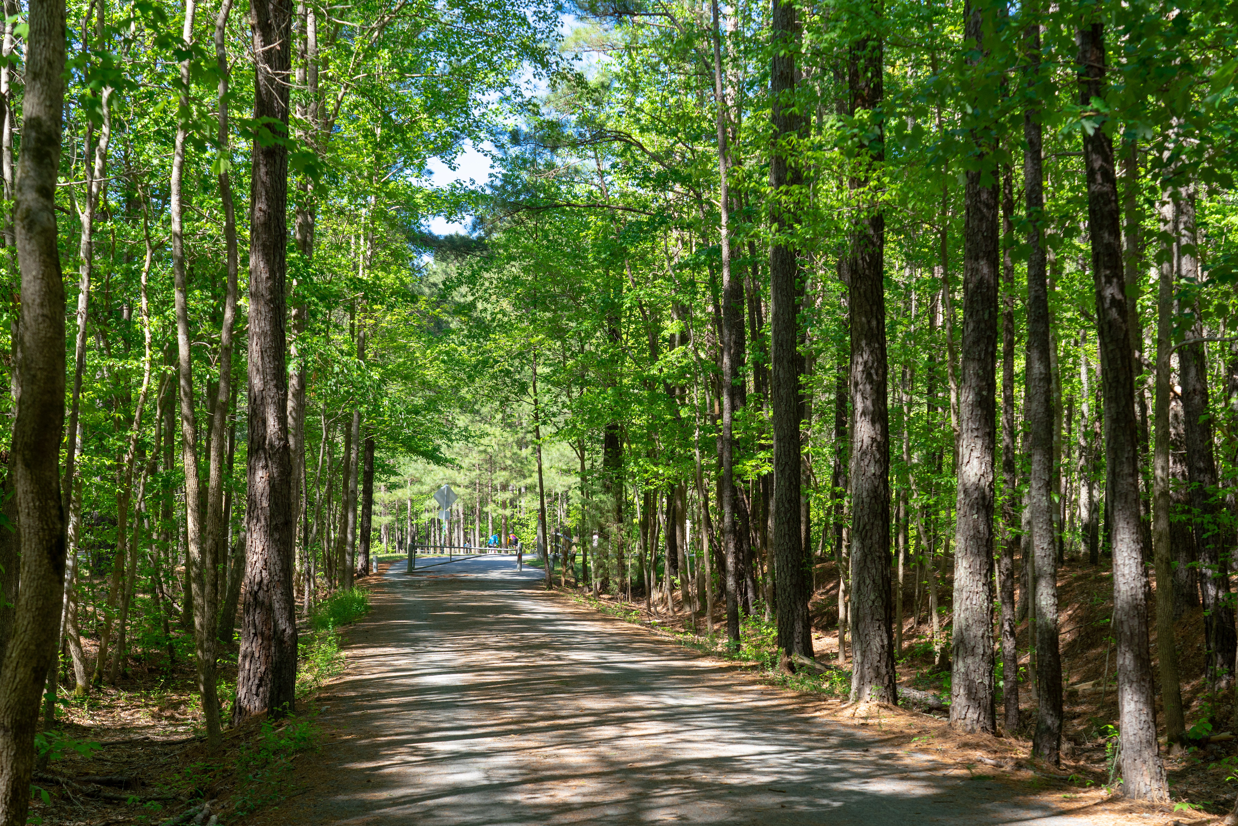 Parks, Trails, and Weekend Plans