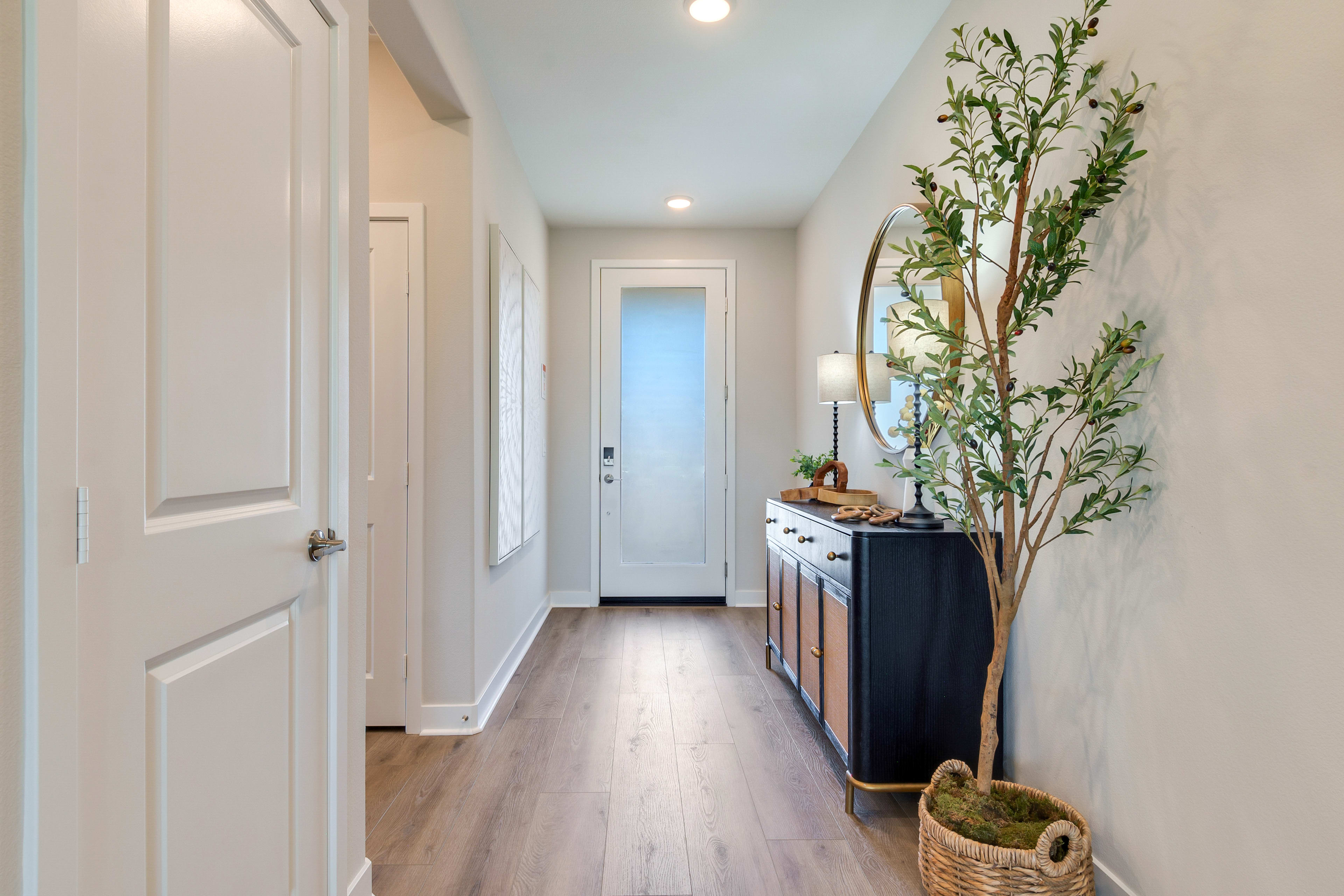 A bright and airy hallway with a wooden floor, a black cabinet, and a decorative plant arrangement, leading to a door at the end.