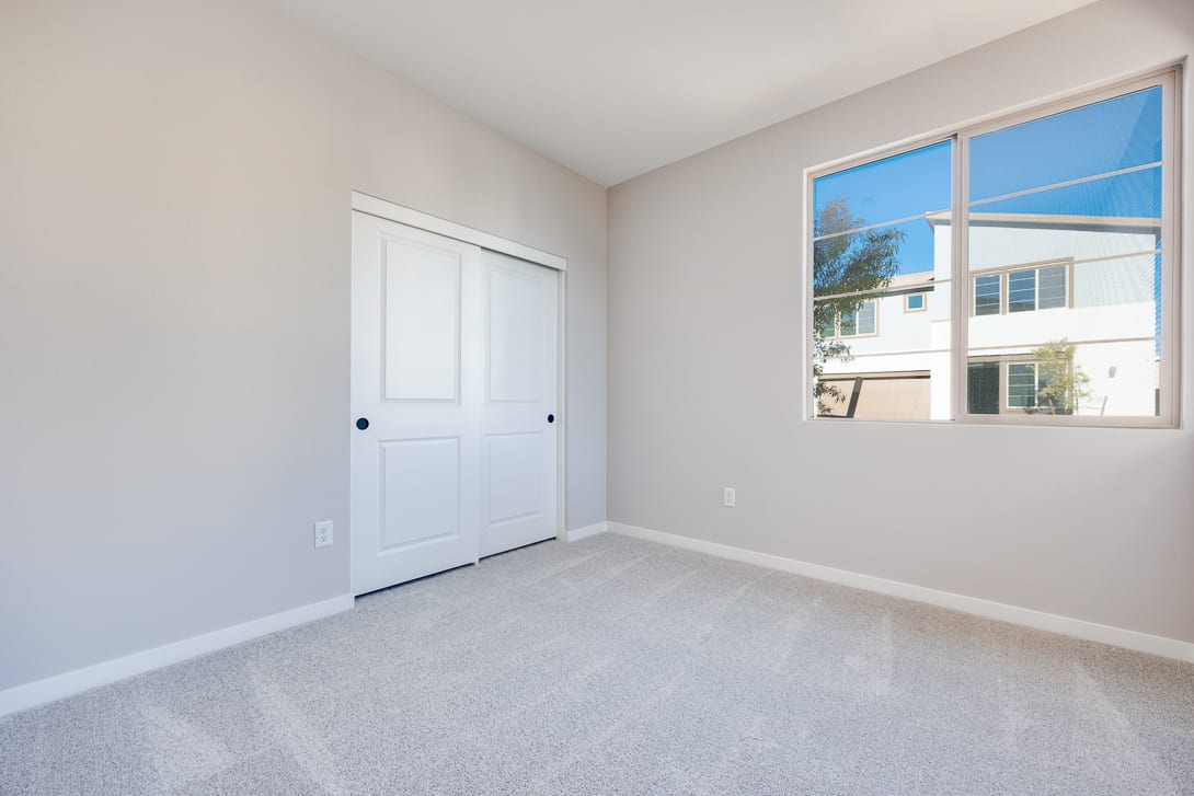 A bright and spacious room with a large window overlooking the exterior, a white closet door, and a neutral-colored carpet covering the floor.