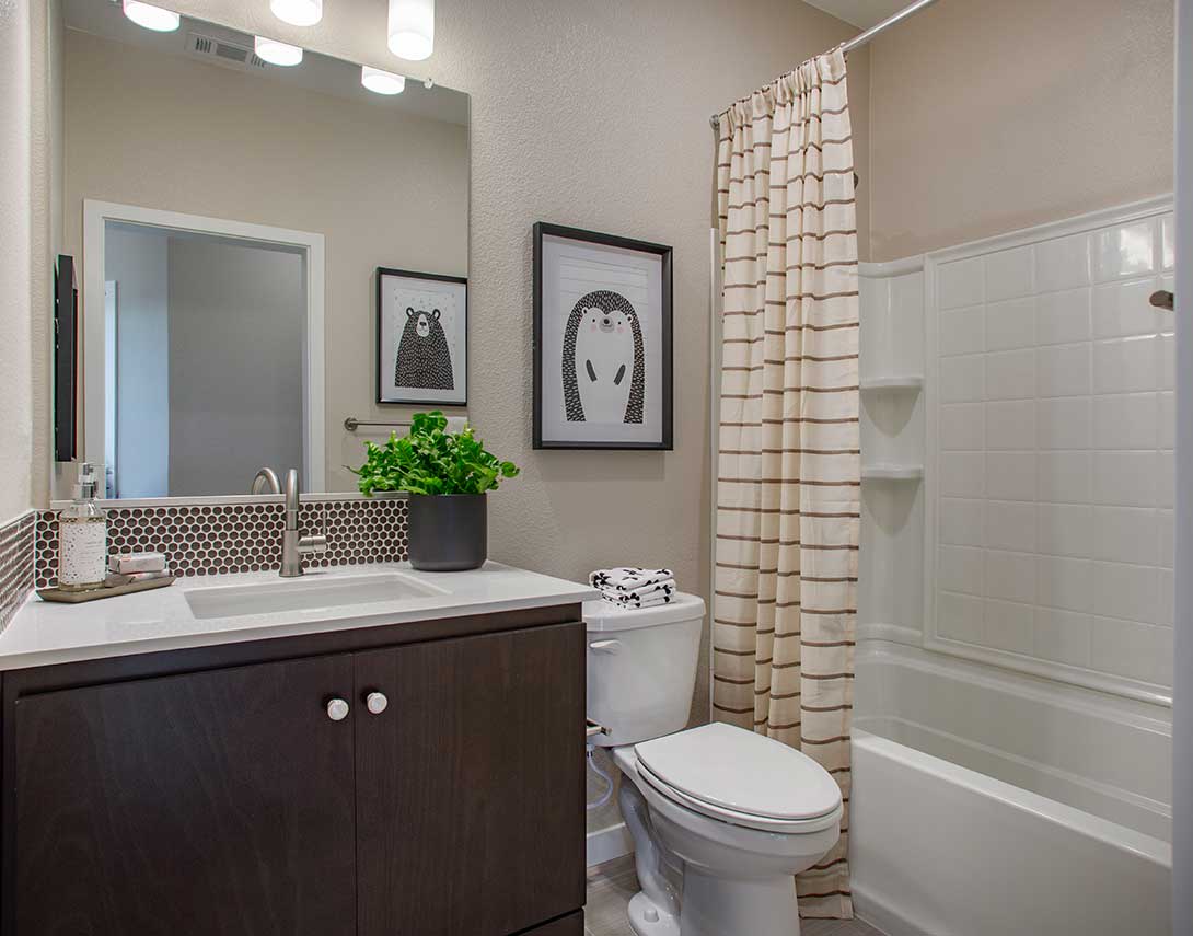 Home image 5