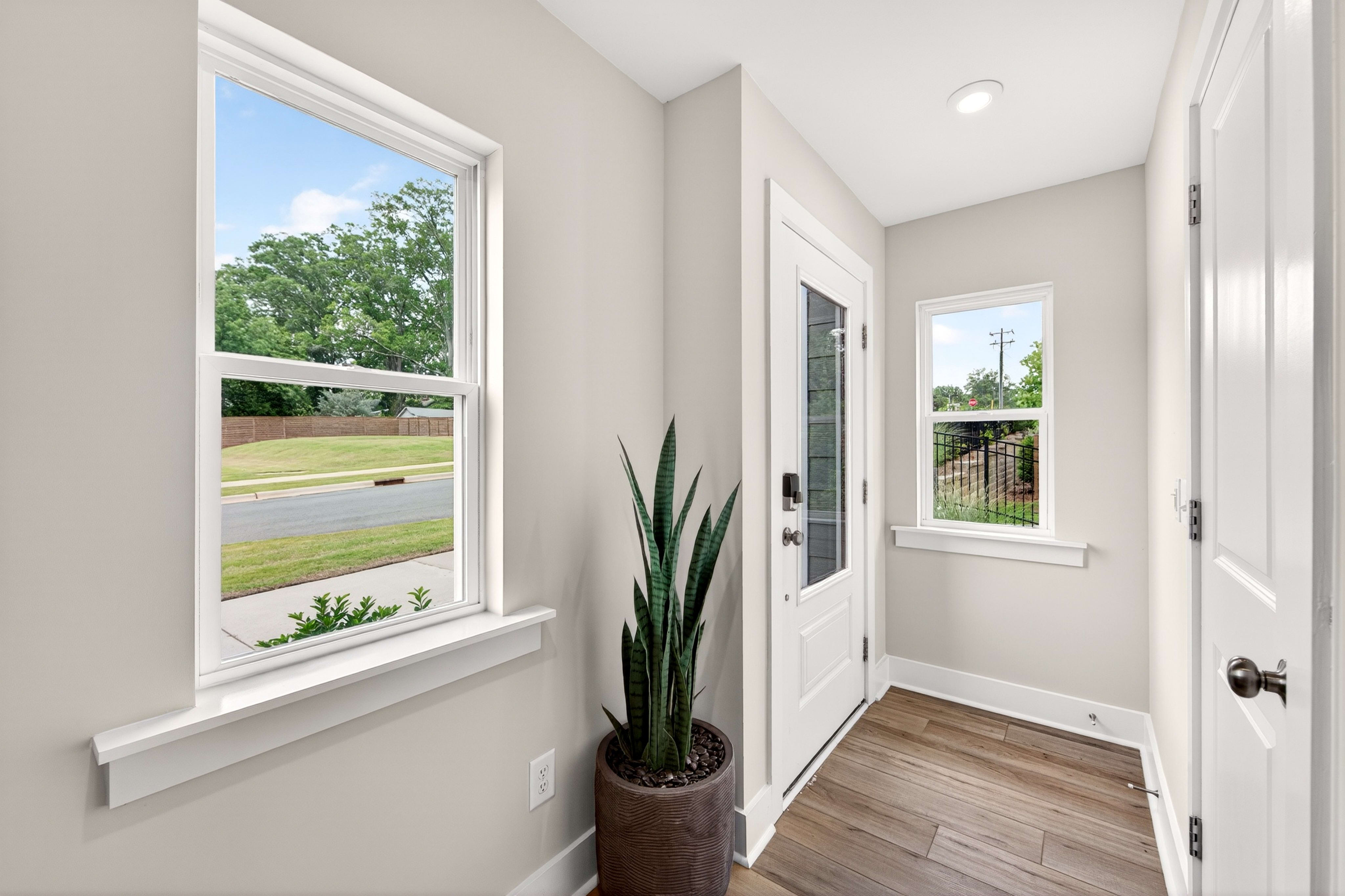 A tall snake plant in a pot stands in the foreground by a white front door with a glass pane, while a street and green trees are visible through a large window in the background.