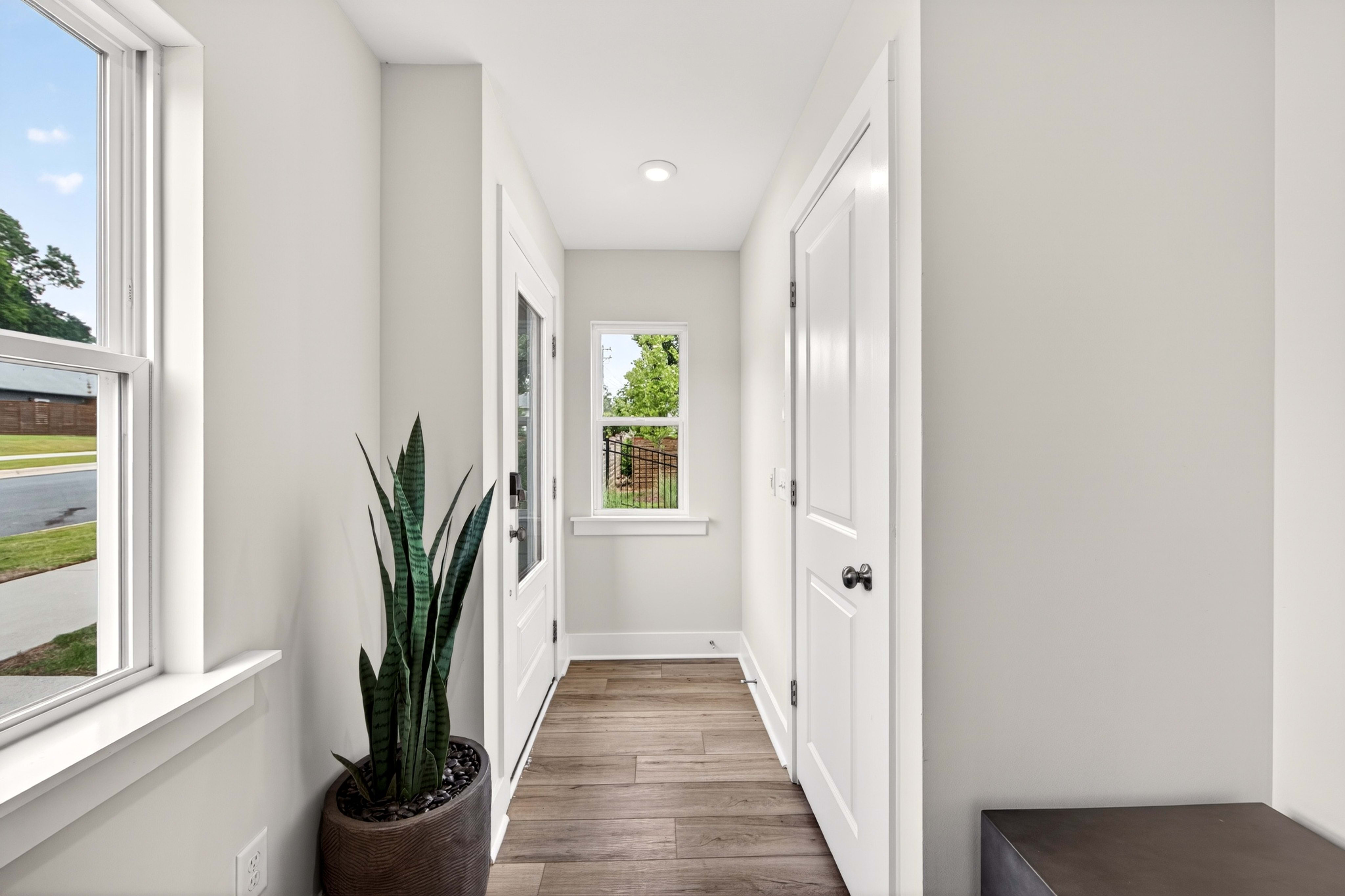 A tall snake plant in a dark pot stands in the foreground of a hallway with a window and a door visible in the background.