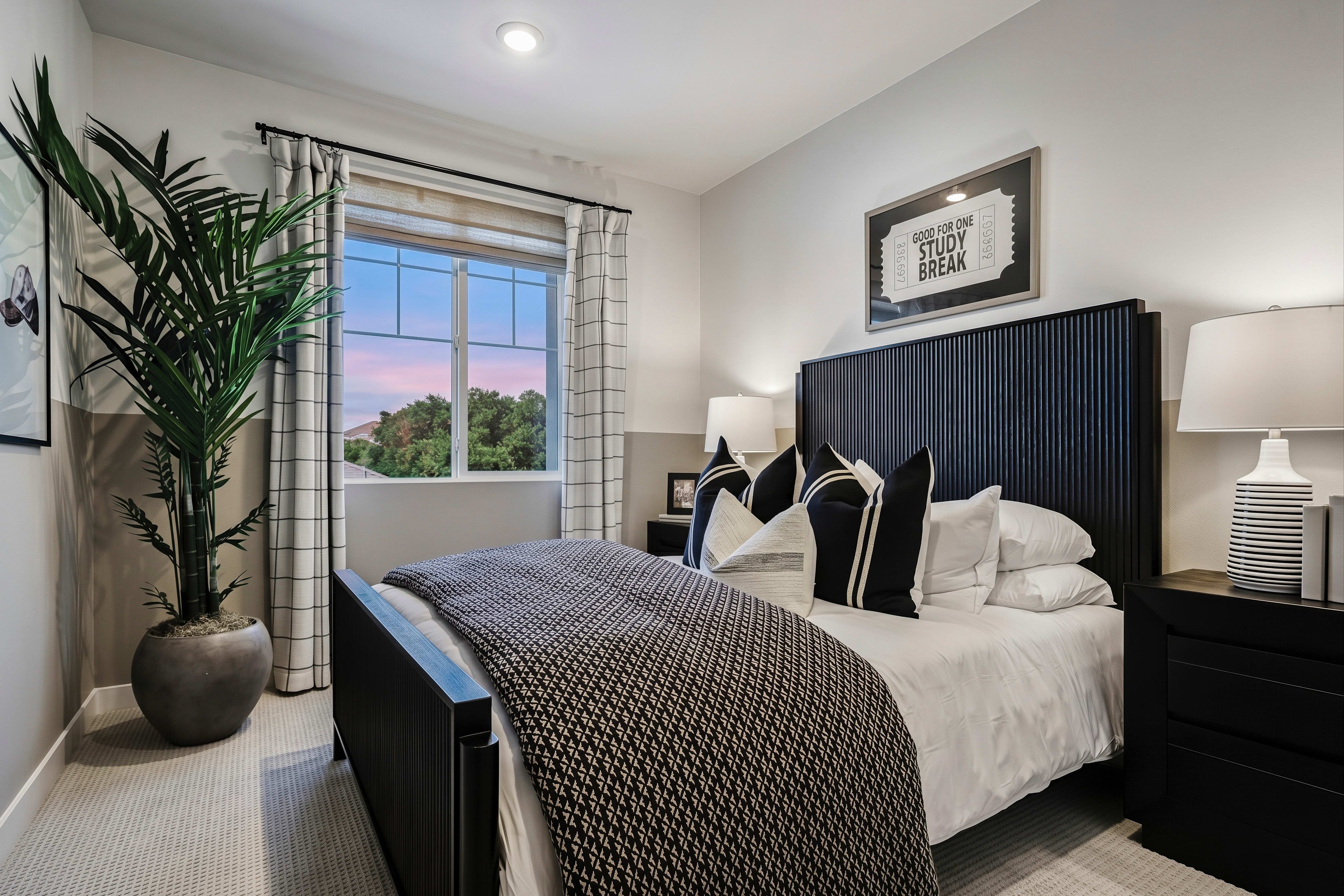 A modern bedroom with a large plant and patterned rug in the foreground, and a window with a sunset view in the background.