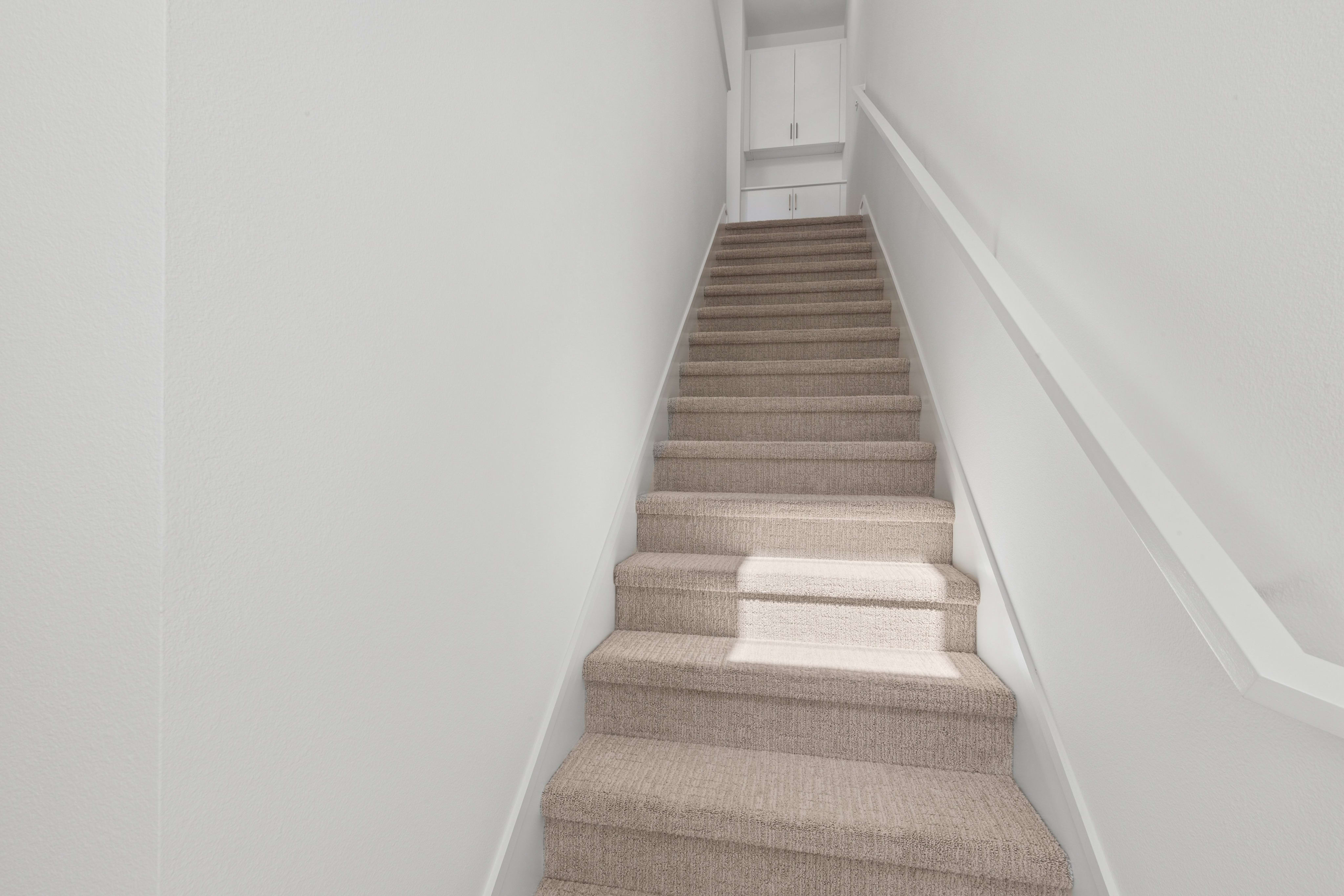 A carpeted staircase ascends towards white cabinets in the background, with sunlight casting shadows on the steps in the foreground.