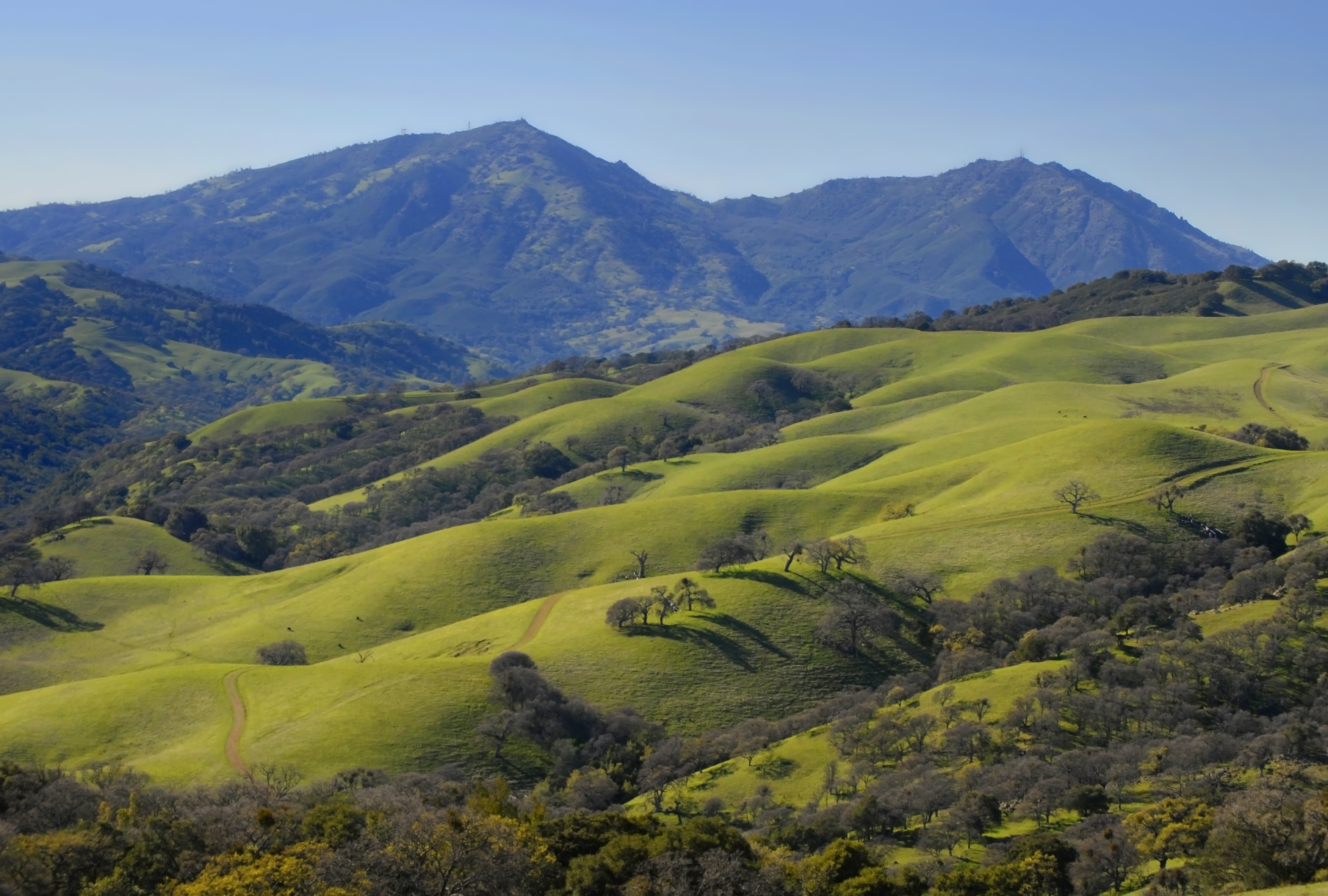 Accessibility is Essential 