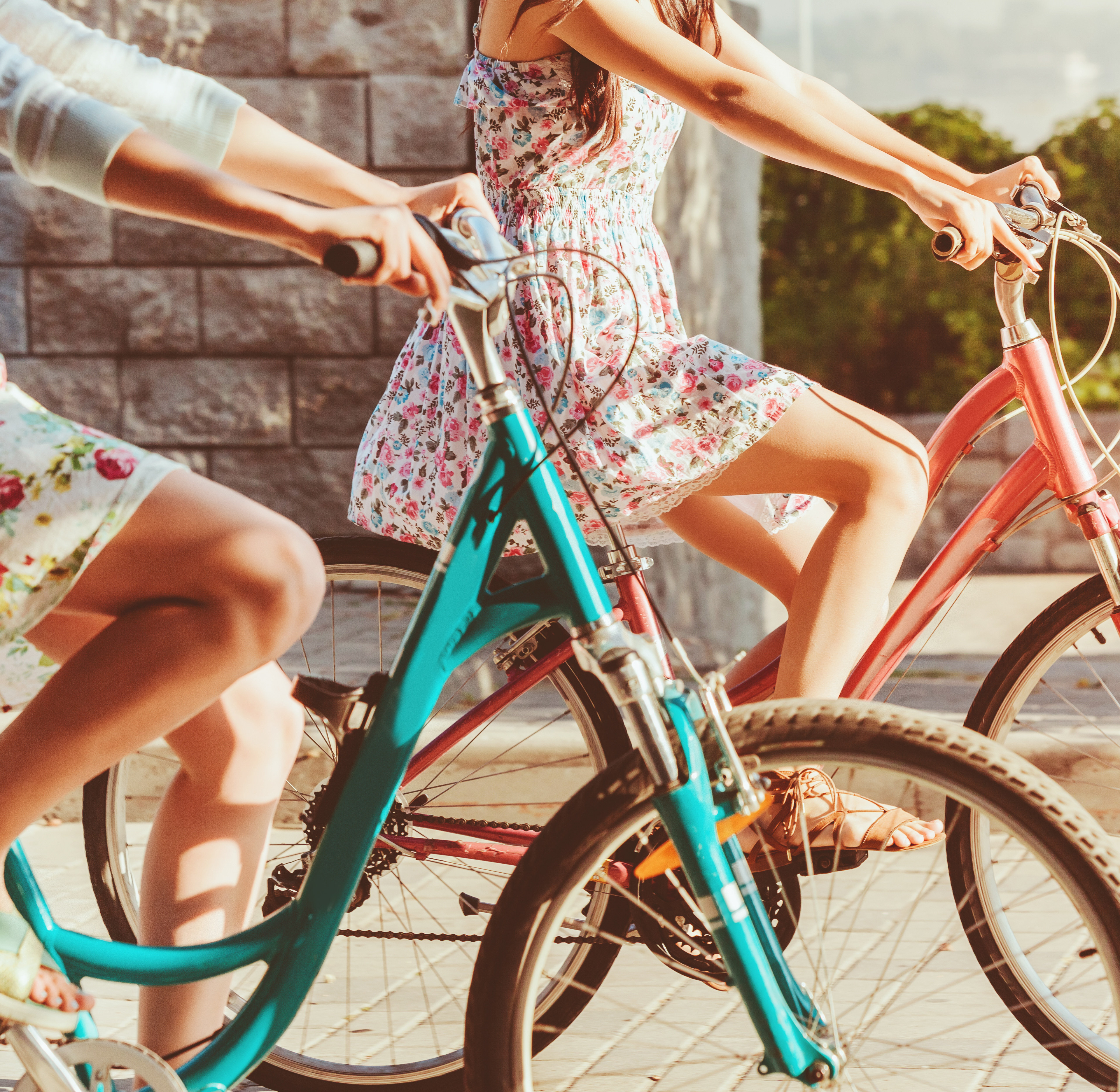 Meet the Neighborhood