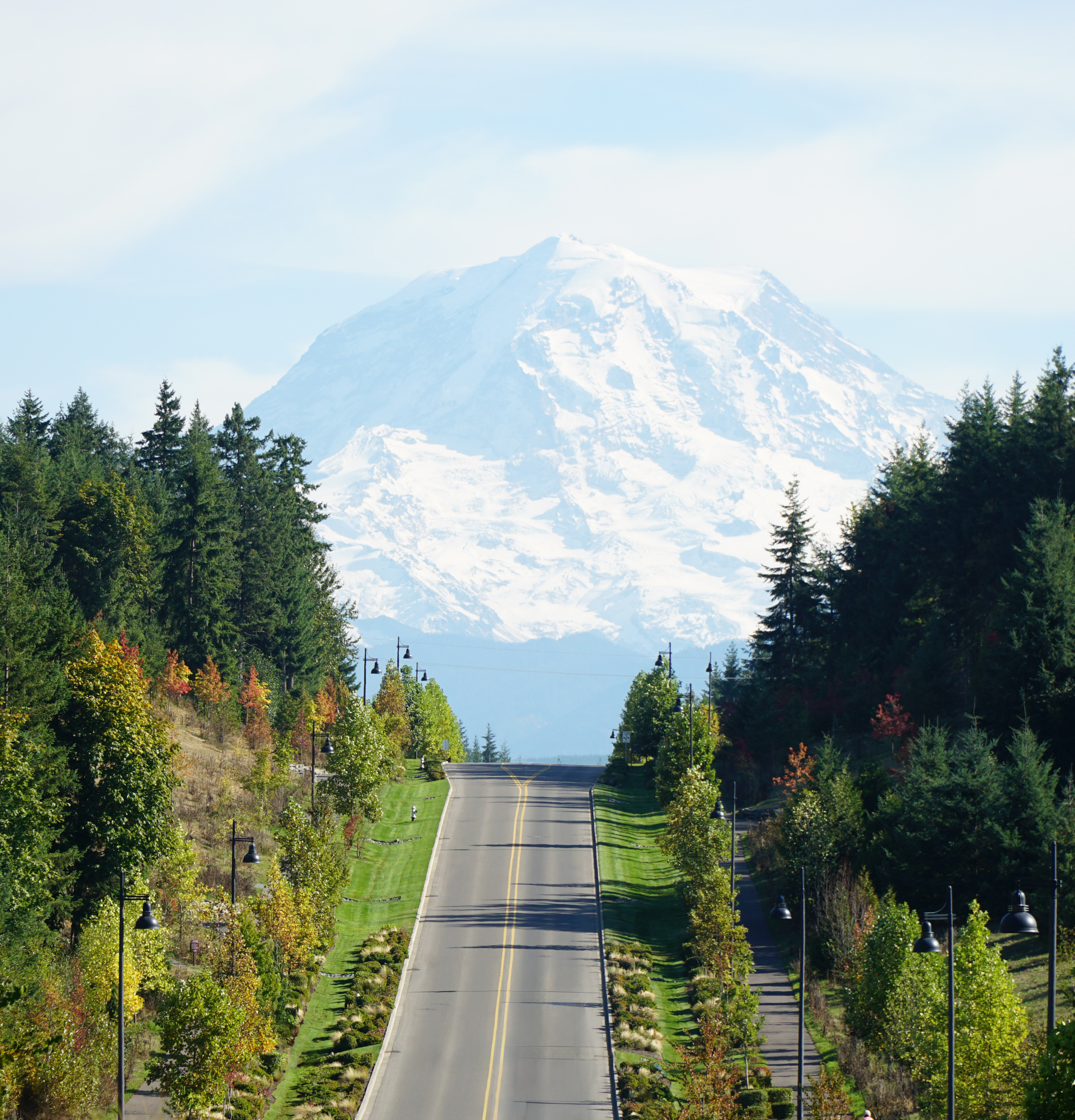 A winding road leads through a lush, forested landscape, with a majestic snow-capped mountain peak visible in the distance.