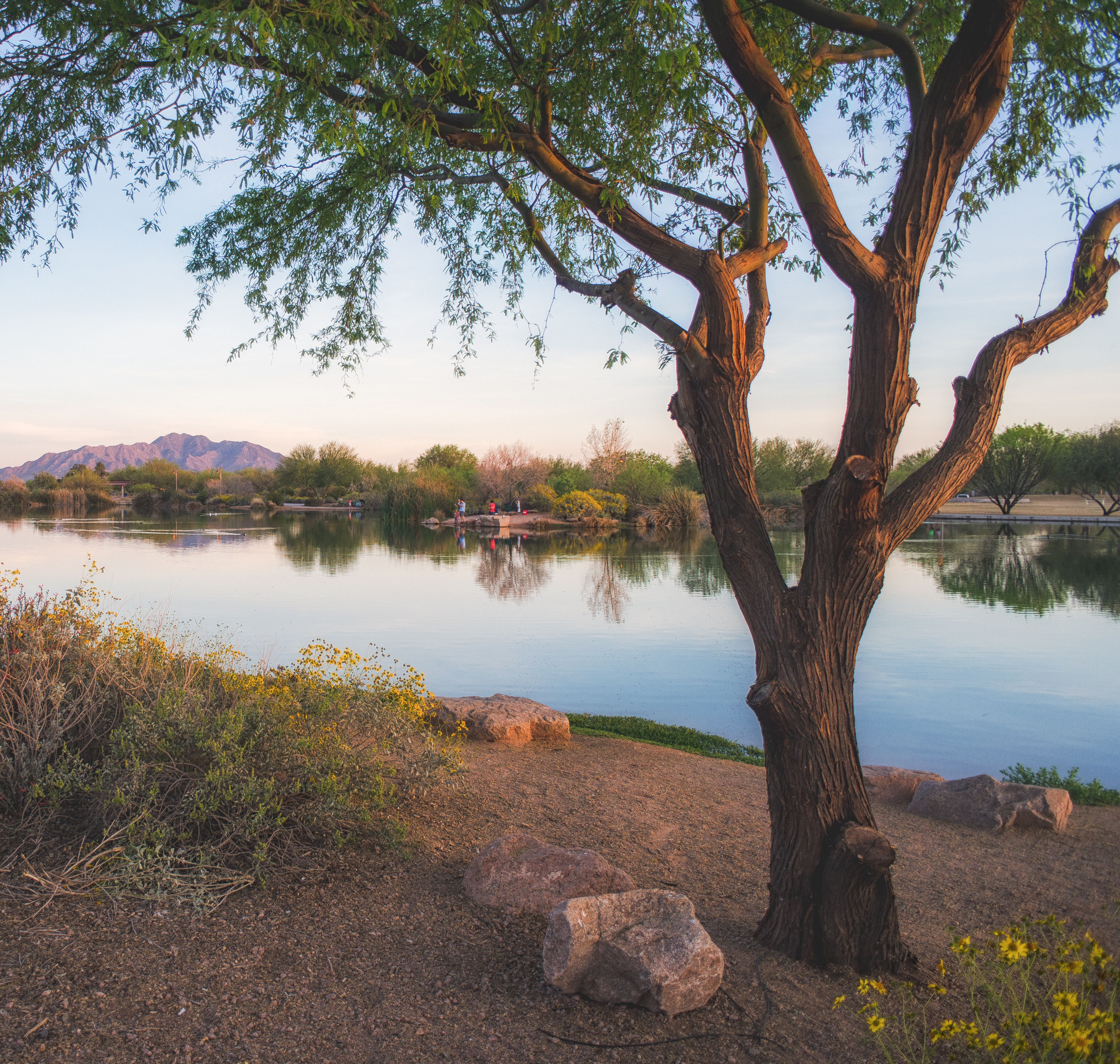 A serene lake surrounded by lush vegetation, with a majestic mountain range visible in the distance, creating a picturesque natural landscape.
