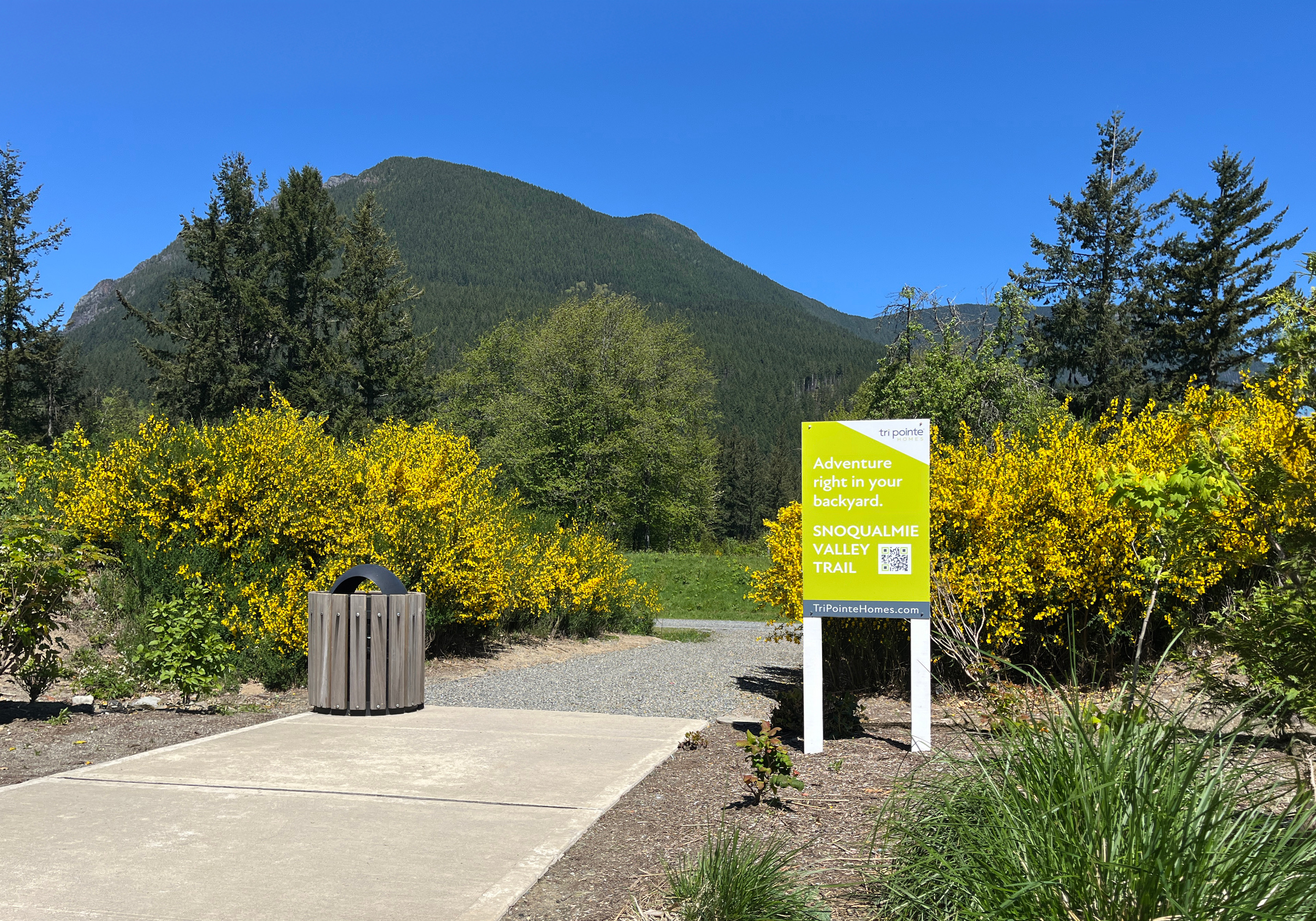 A paved path leads through a lush, green landscape with blooming yellow flowers in the foreground, while a towering mountain rises in the background under a clear blue sky.