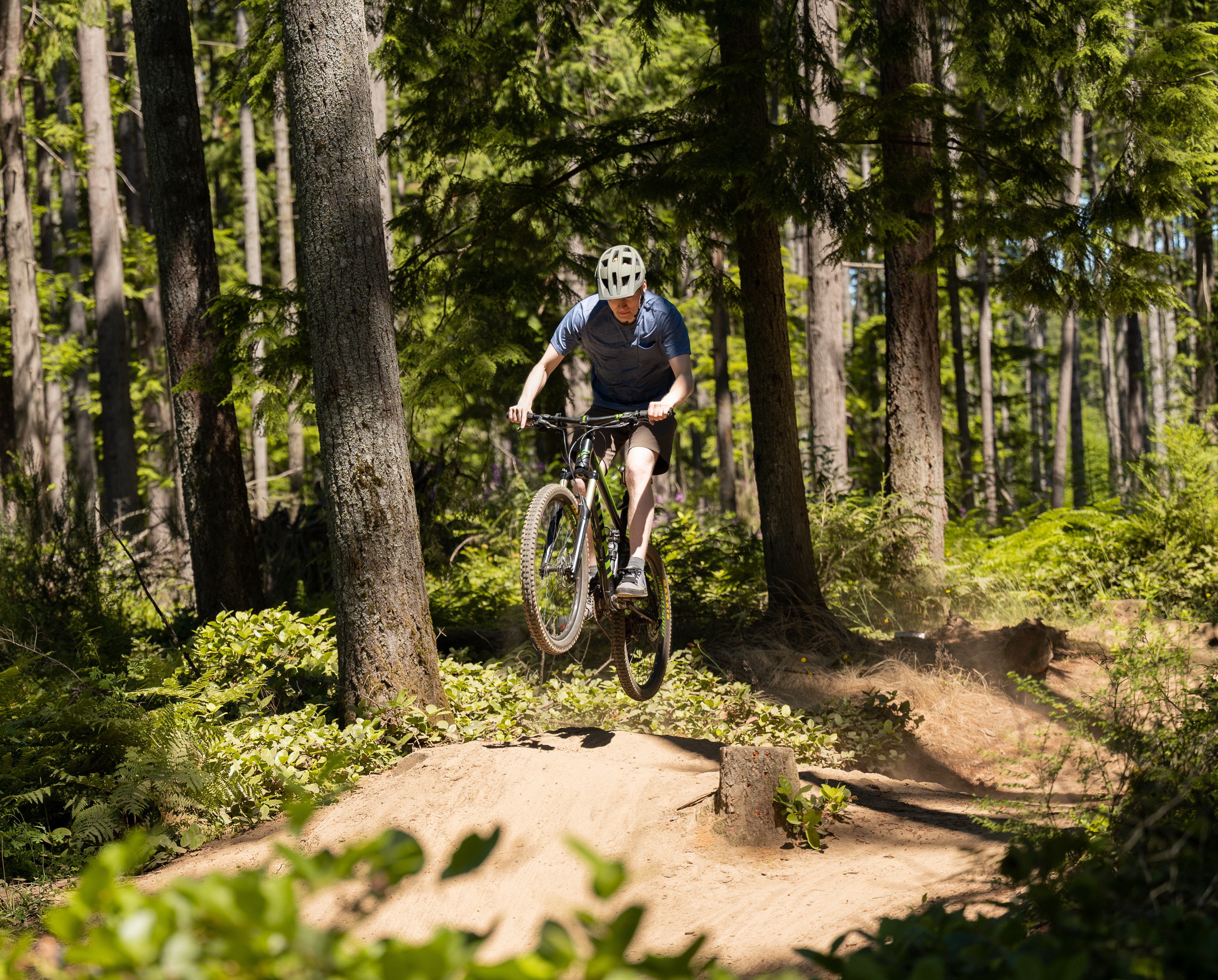 A cyclist rides through a lush, forested trail, surrounded by tall trees and verdant vegetation.