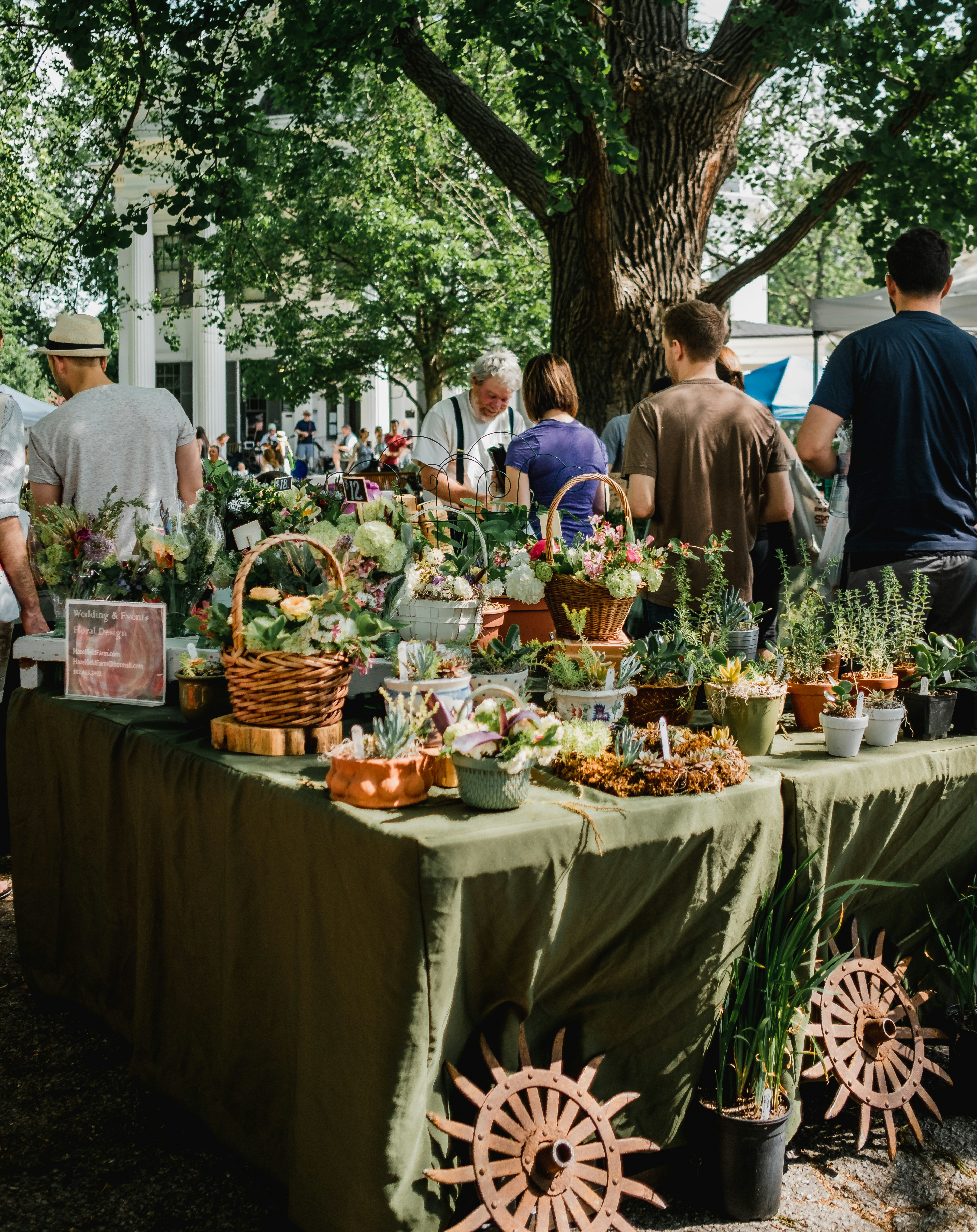 A bustling outdoor market with various vendors selling an array of fresh produce, plants, and other goods, set against a backdrop of lush greenery and a large tree.