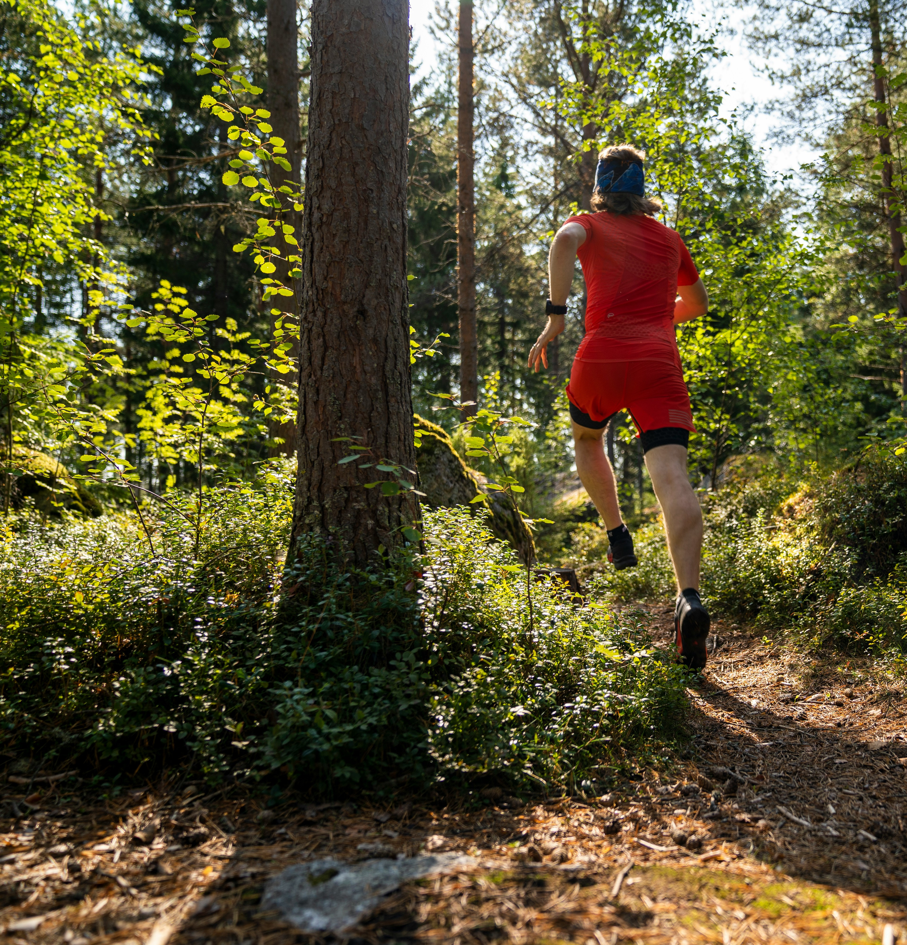 A person in a bright red outfit is walking along a dirt path through a lush, forested area with sunlight filtering through the trees.