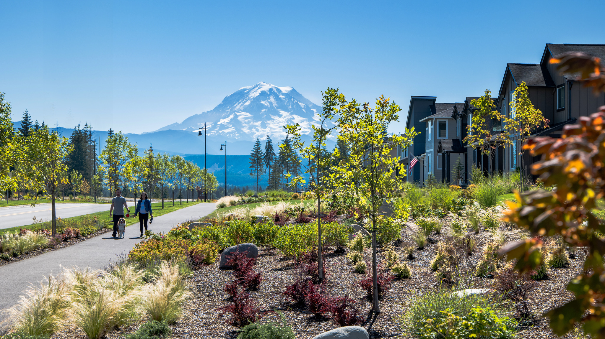 A scenic landscape with a snow-capped mountain in the background, surrounded by lush greenery and a paved walkway in the foreground.