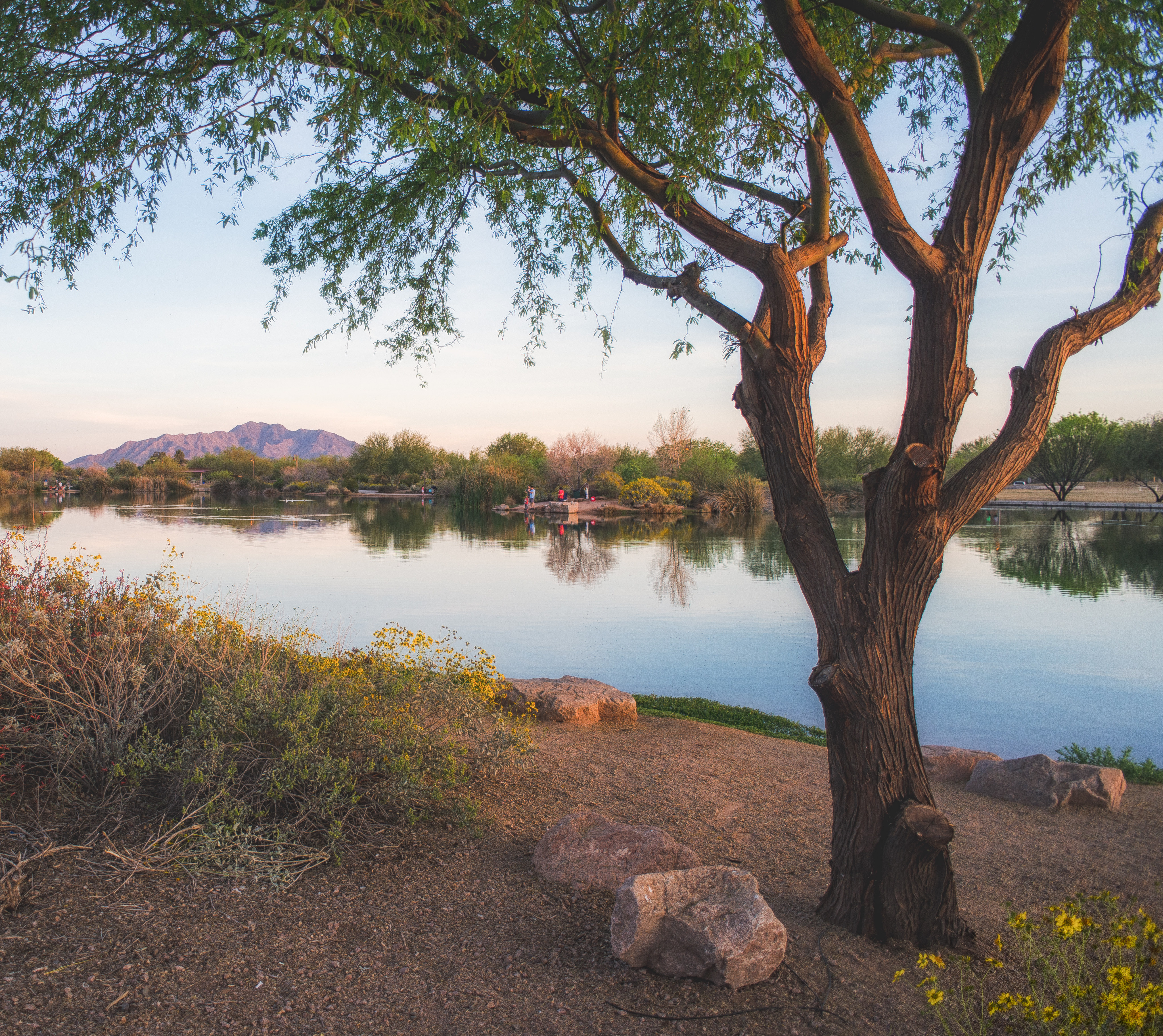 A serene lake surrounded by lush vegetation, with a majestic mountain range visible in the distance, creating a picturesque natural landscape.