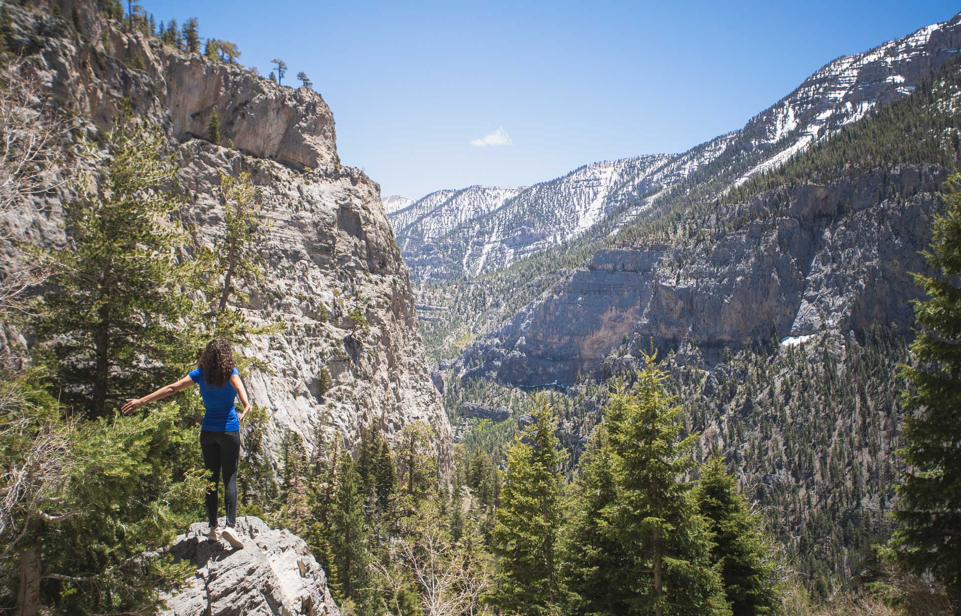 A person stands on a rocky outcrop, surrounded by towering snow-capped mountains and lush evergreen forests in the background.