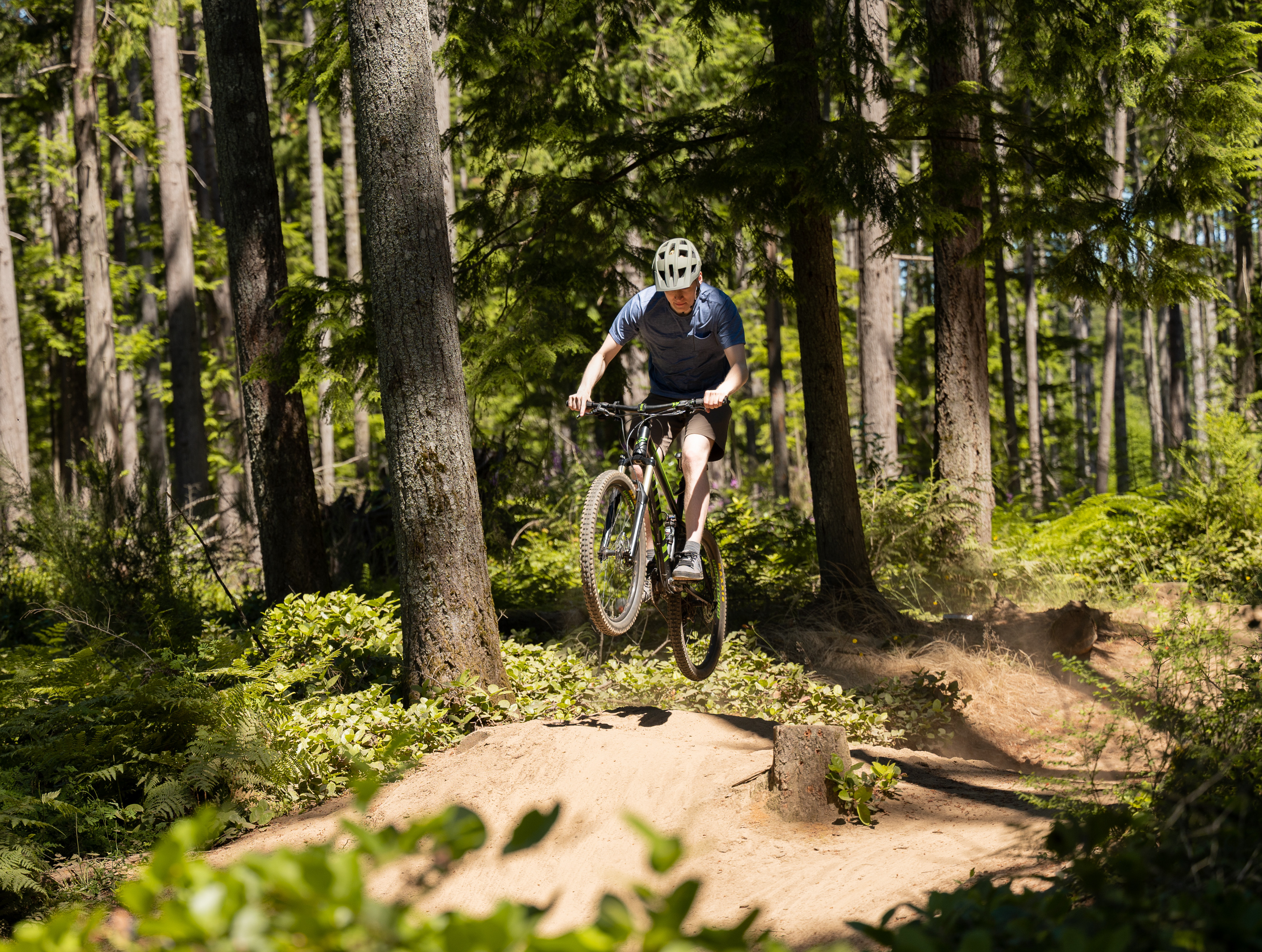 A cyclist rides through a lush, forested trail, surrounded by tall trees and verdant vegetation.