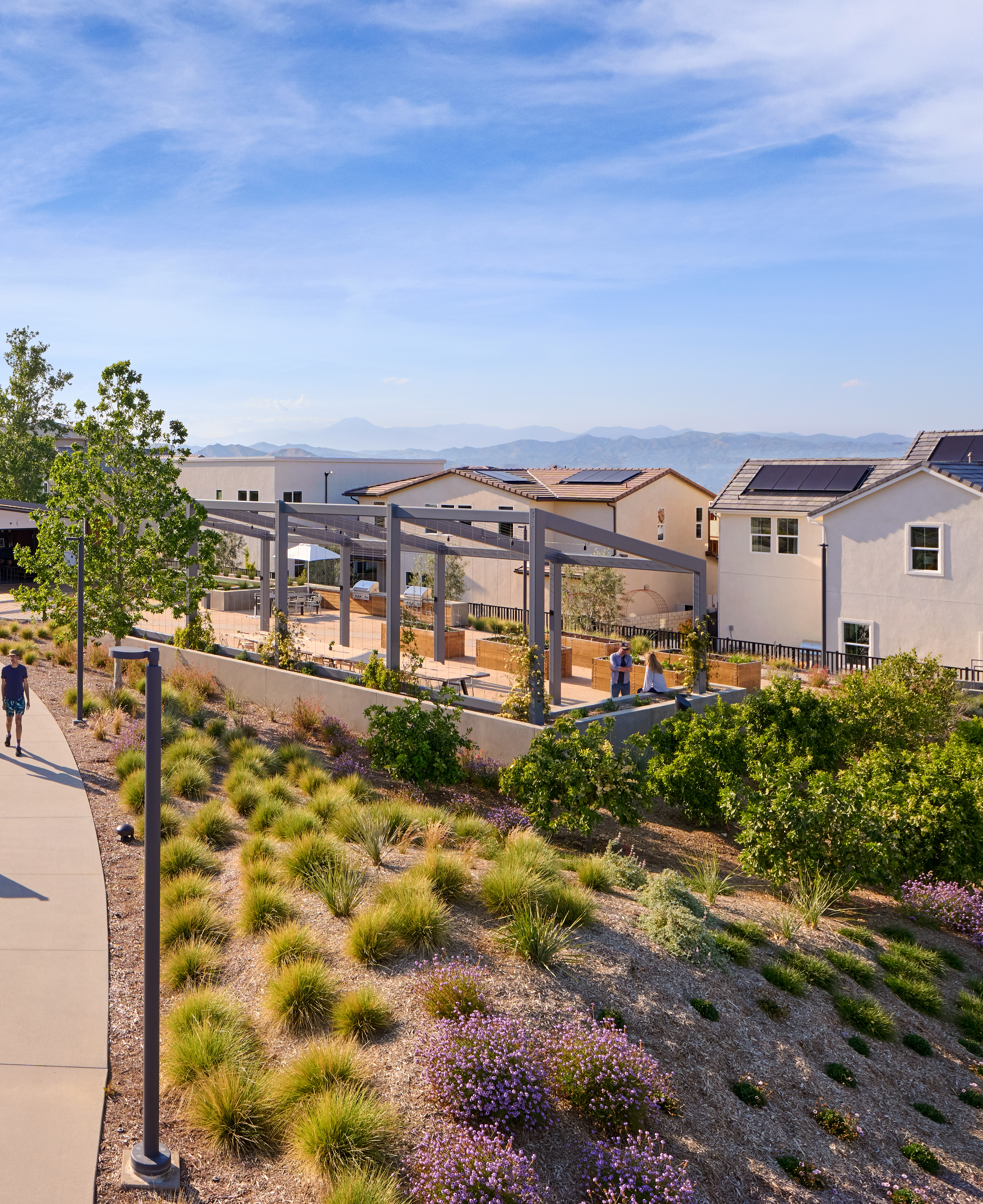 A paved walkway winds through a landscaped area with various plants and shrubs, leading to a residential neighborhood in the background under a bright, blue sky.