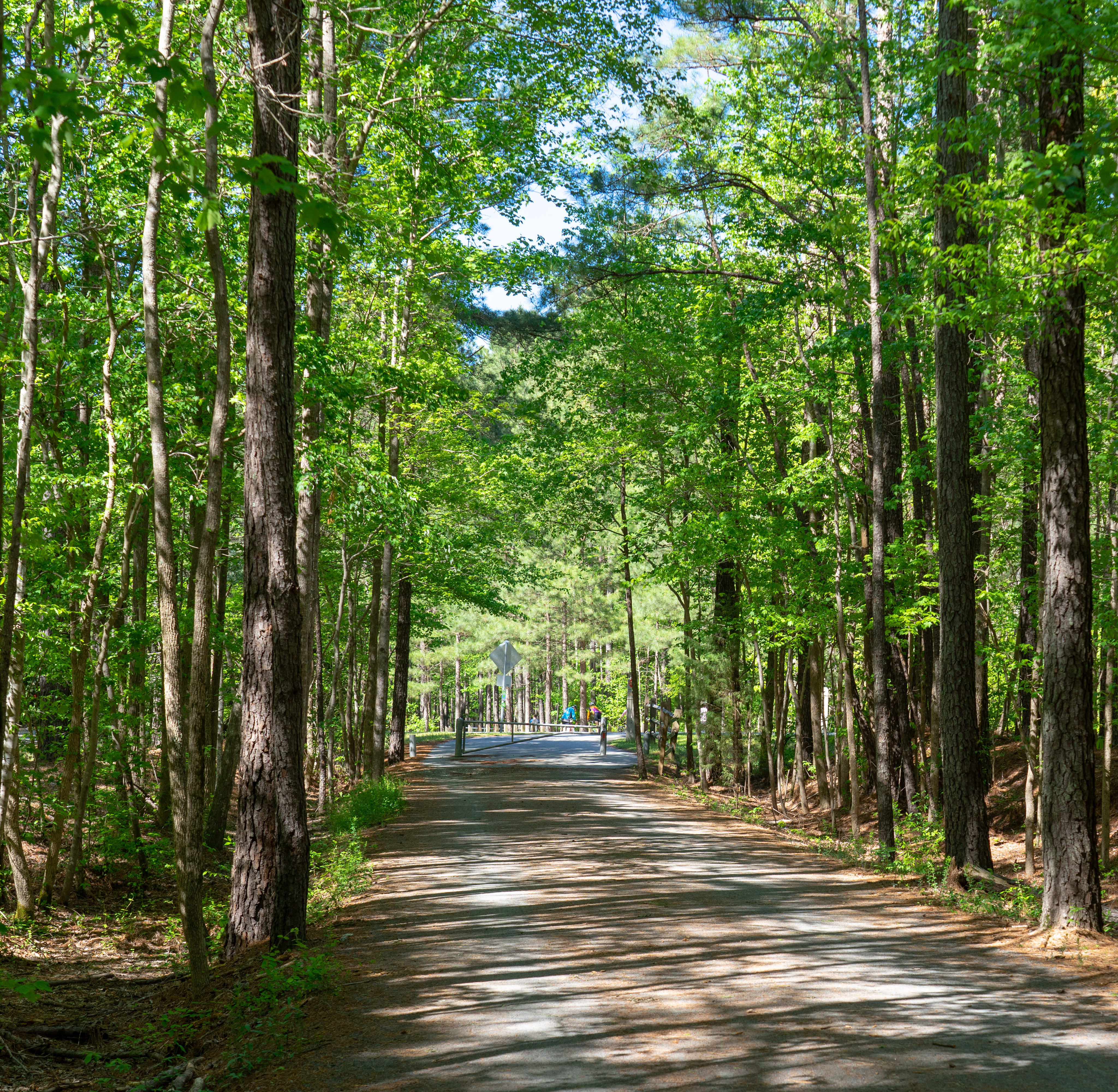 Parks, Trails, and Weekend Plans