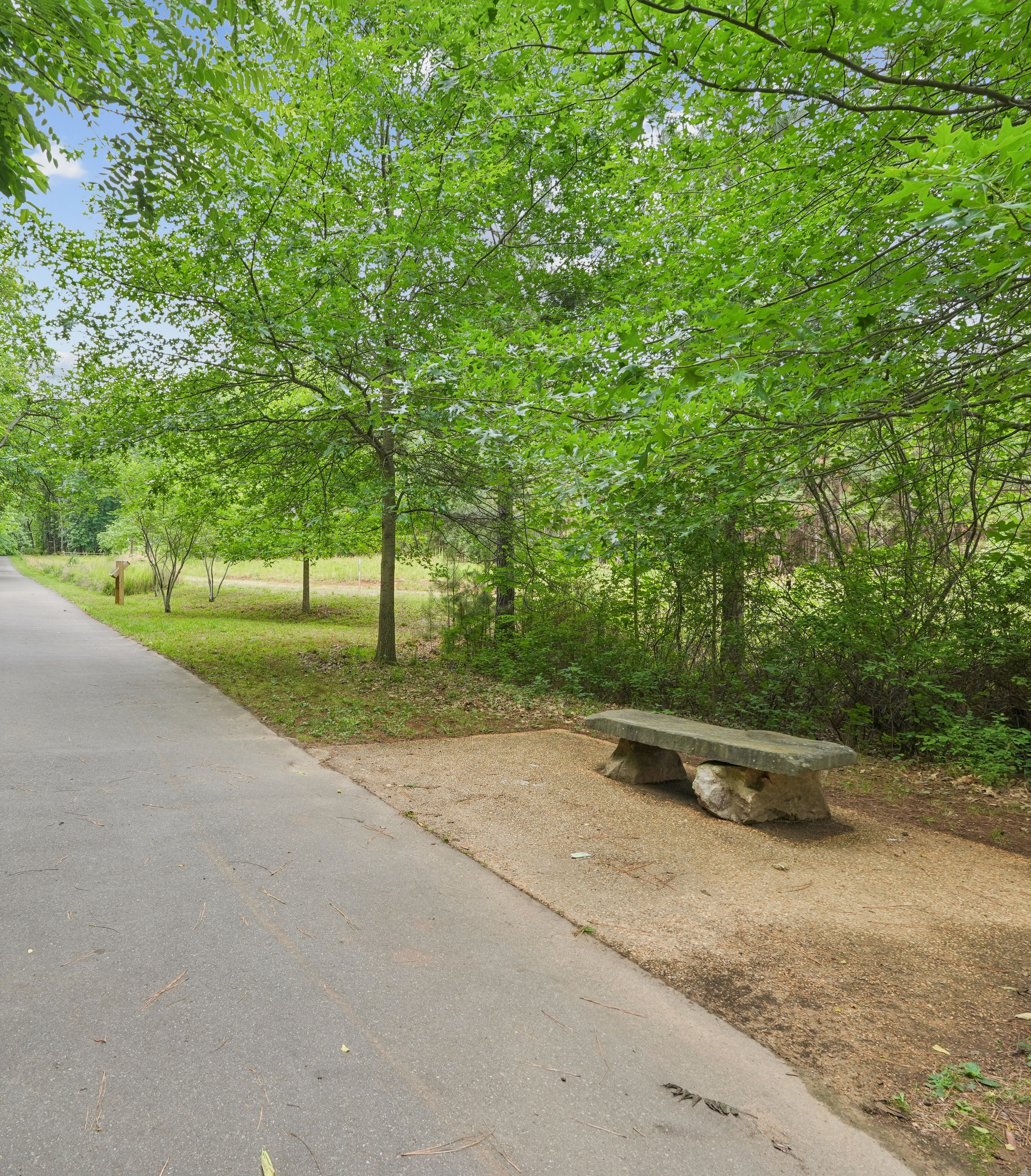 A paved path leads through a lush green forest, with a stone bench resting on a sandy patch to the right.