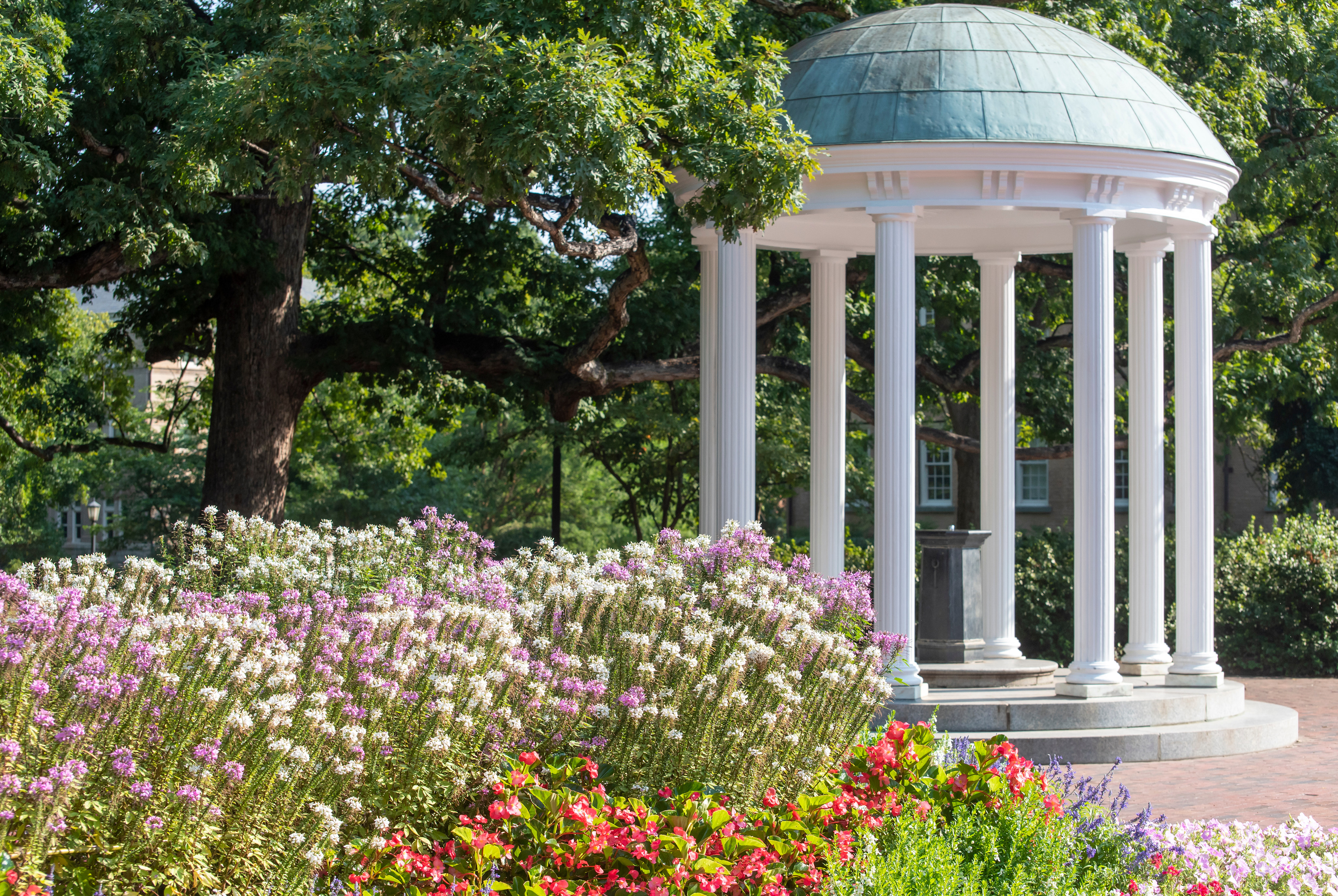 A Guide to Living in Chapel Hill