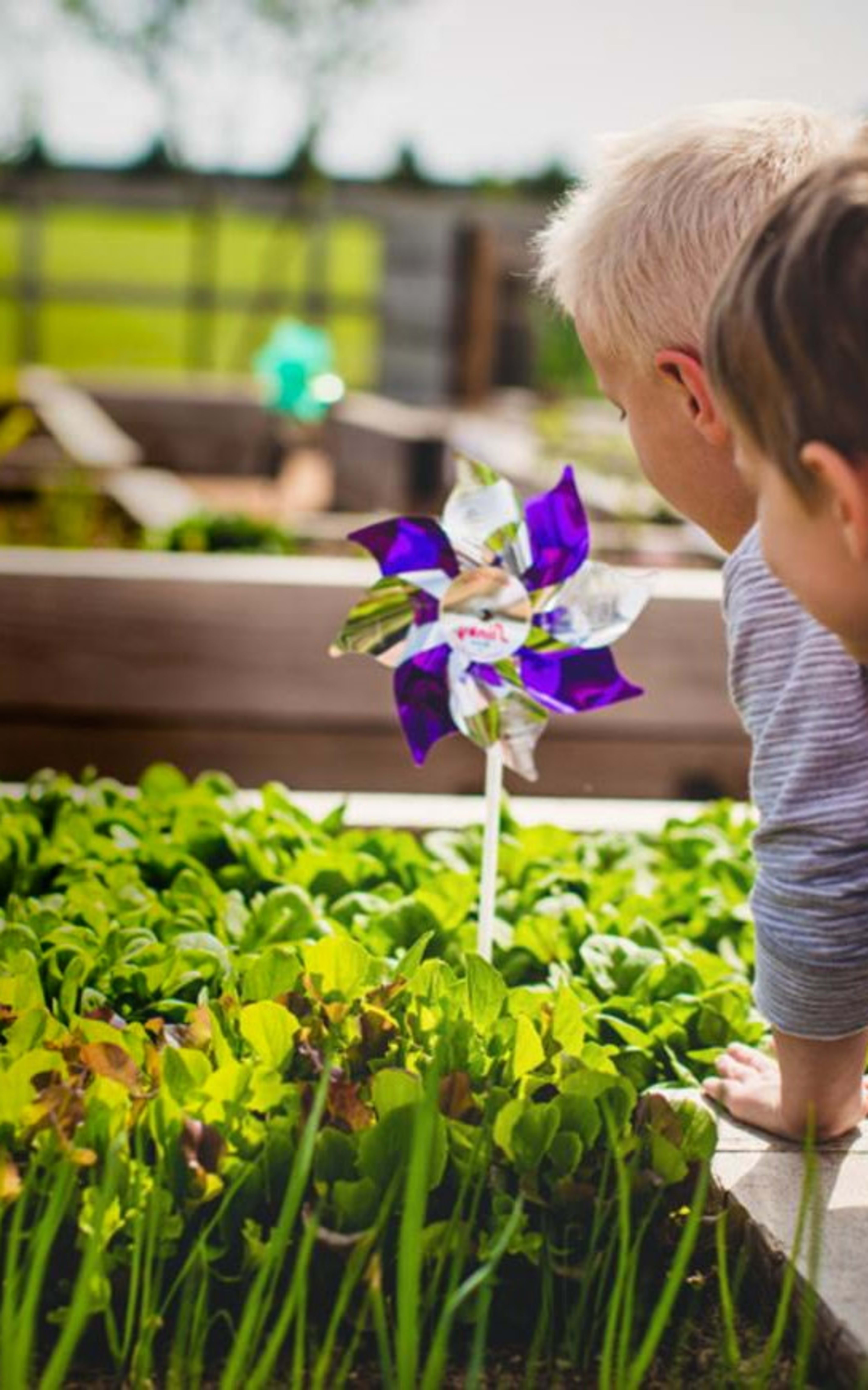 Connect at the clubhouse, wander fitness loops, or discover serene escapes in vibrant parks.