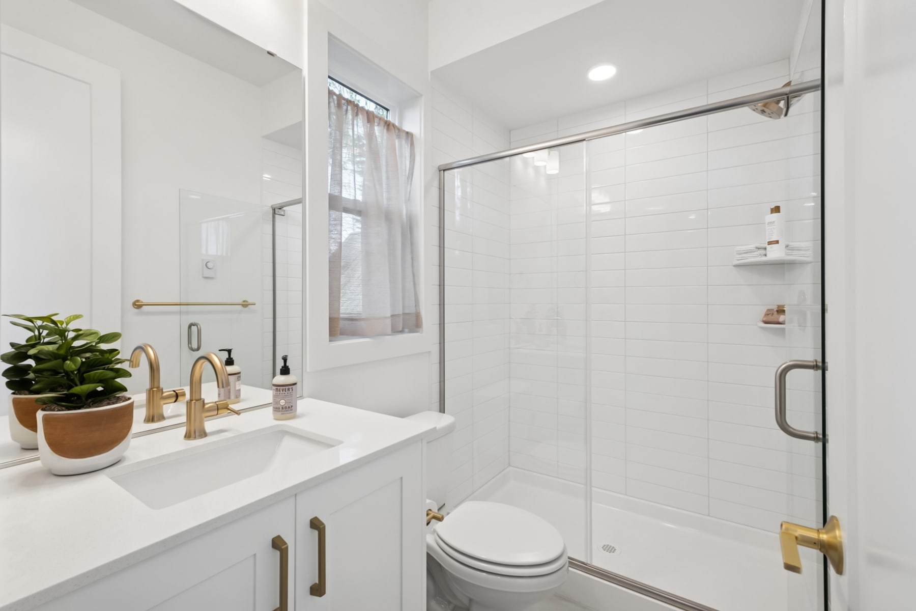 A modern, well-lit bathroom with a white vanity, a potted plant, and a glass-enclosed shower area.