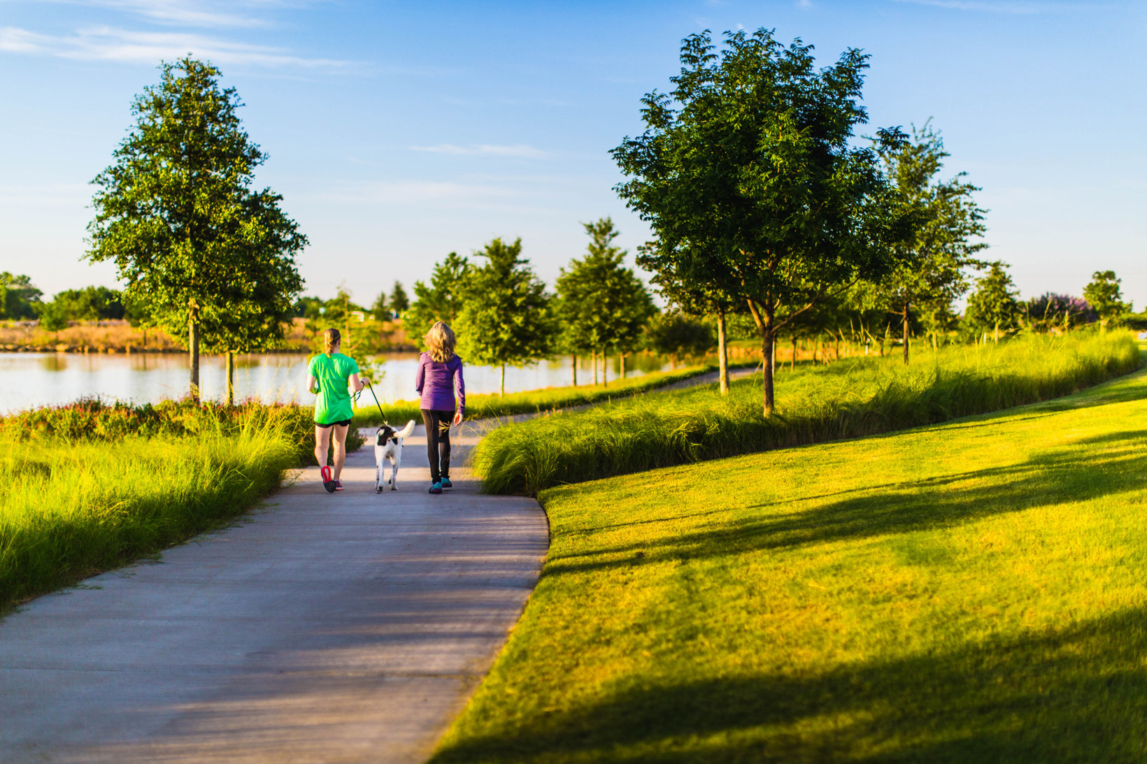 Interested in Living in the Terrace Collection at Harvest?