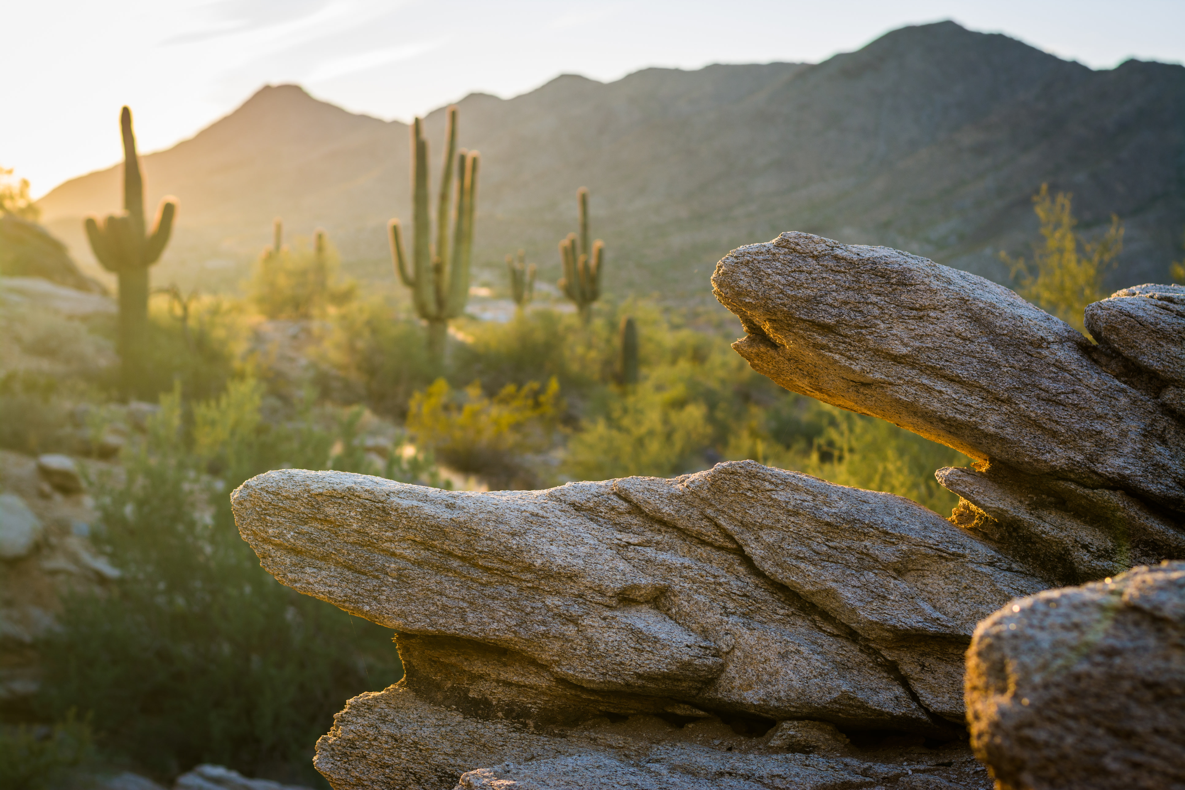 Interested in Living at Alpine Ridge?
