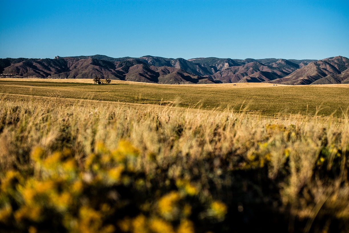 Interested in Sterling Ranch?