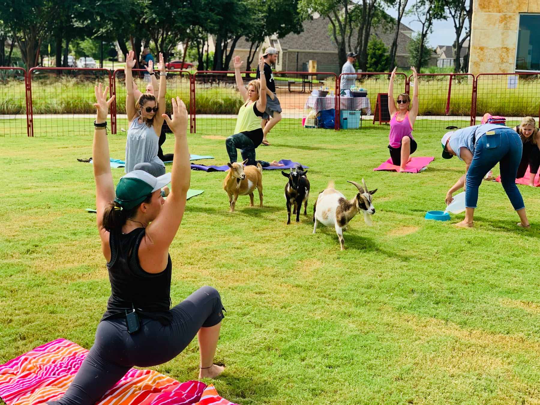 Live Life to the Fullest