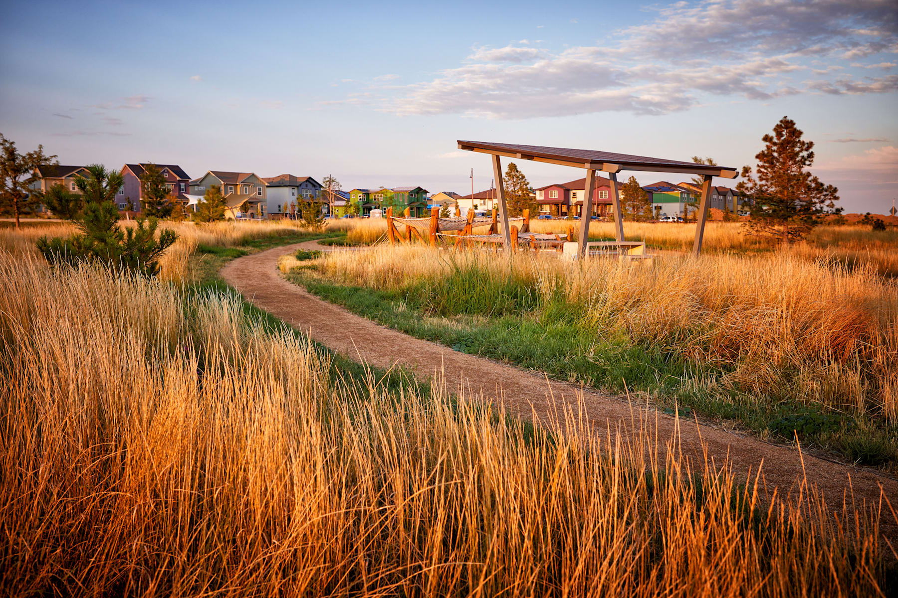 A winding dirt path leads through a field of tall golden grass, with a colorful collection of small houses and structures visible in the background against a picturesque sky.