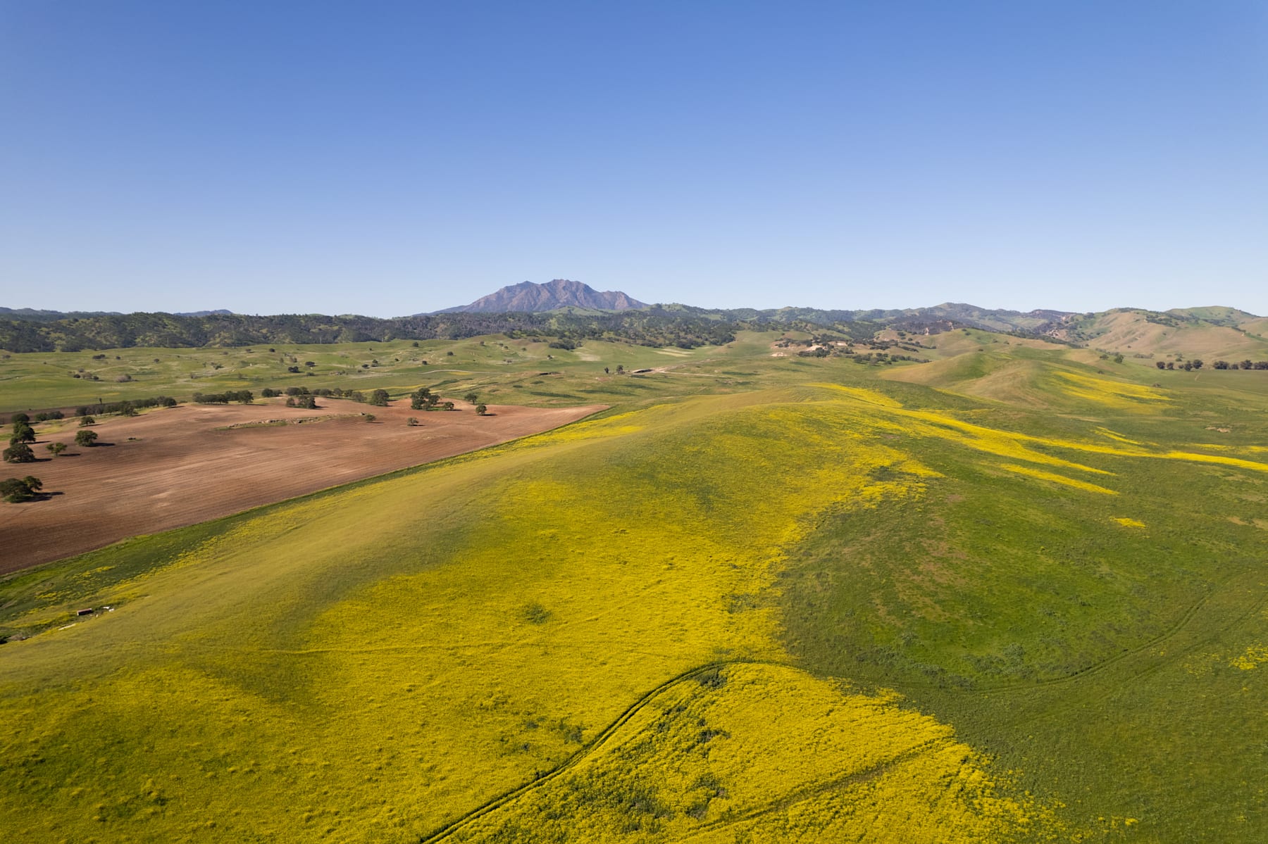 Interested in Living in Trails at Creekside?