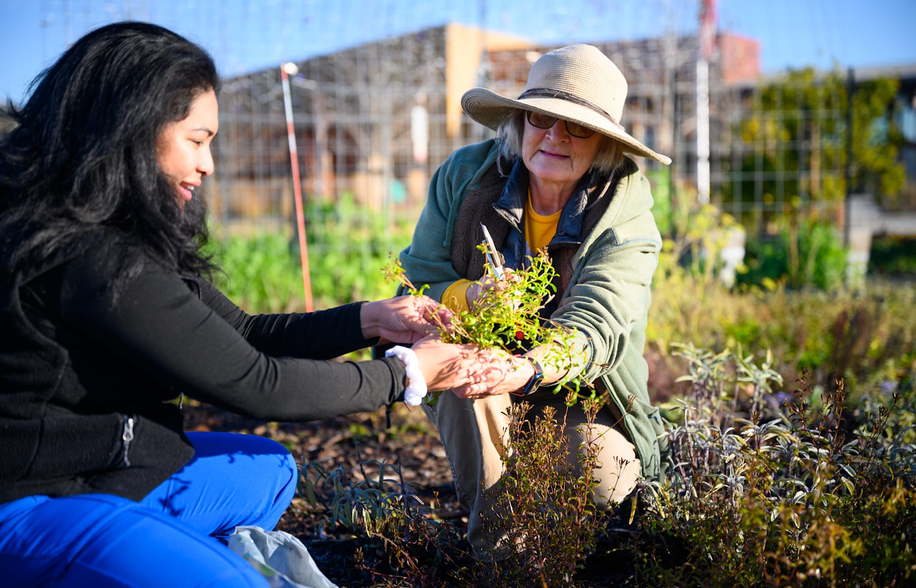Walk the lake, pick some veggies, or dive in at the Clubhouse – find your place