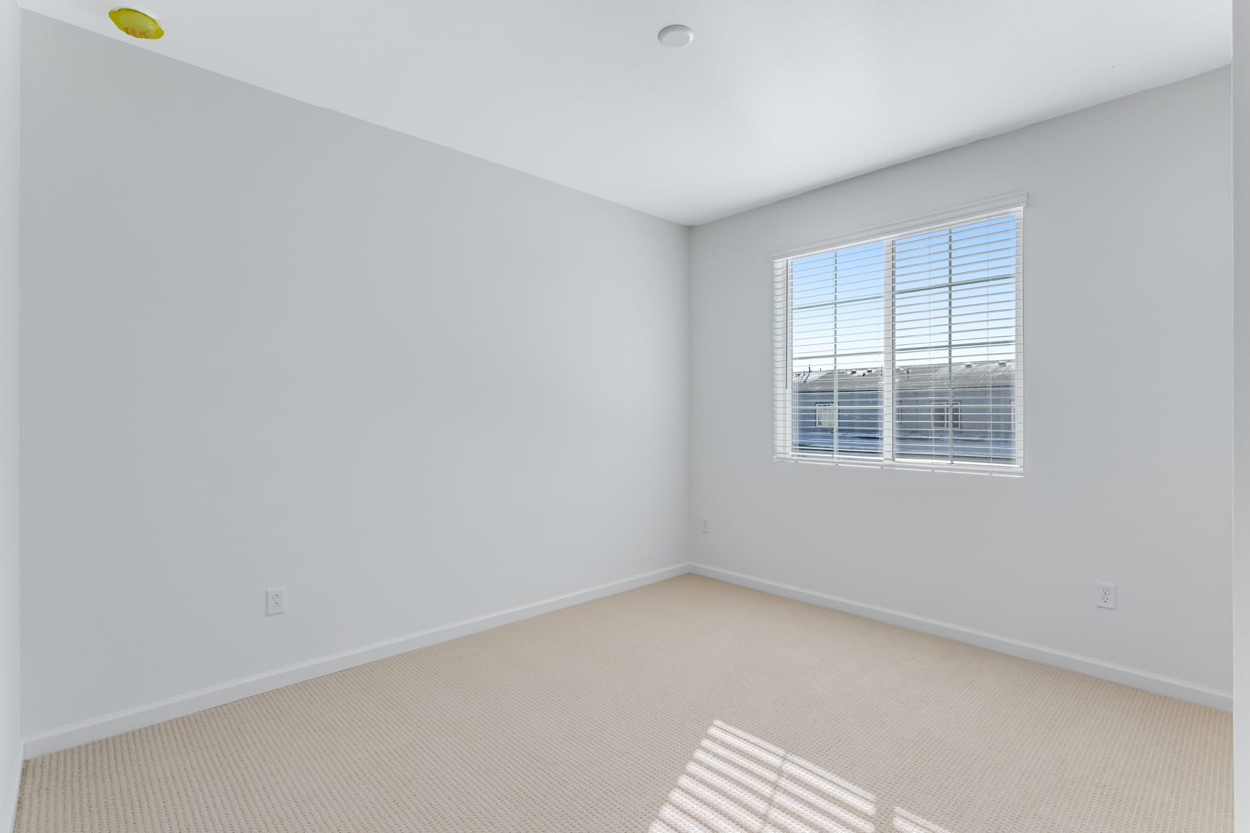 A bright, minimalist room with a large window, neutral-colored walls, and a carpeted floor.