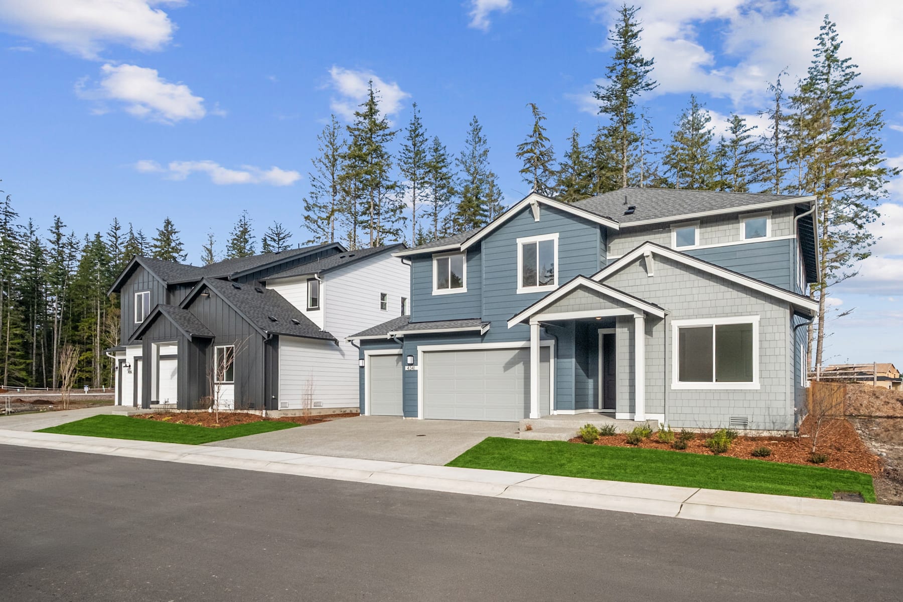 A residential neighborhood with modern, two-story houses surrounded by pine trees and a grassy lawn in the foreground.