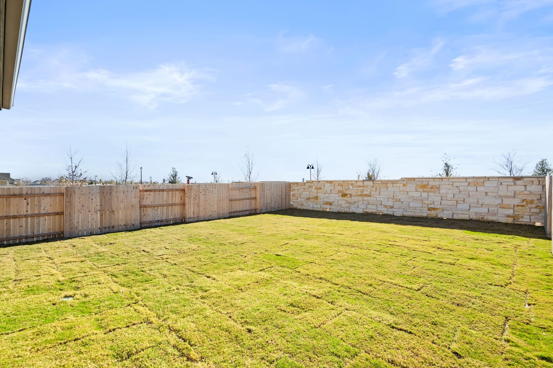 A grassy backyard with a wooden fence and a clear blue sky in the background.