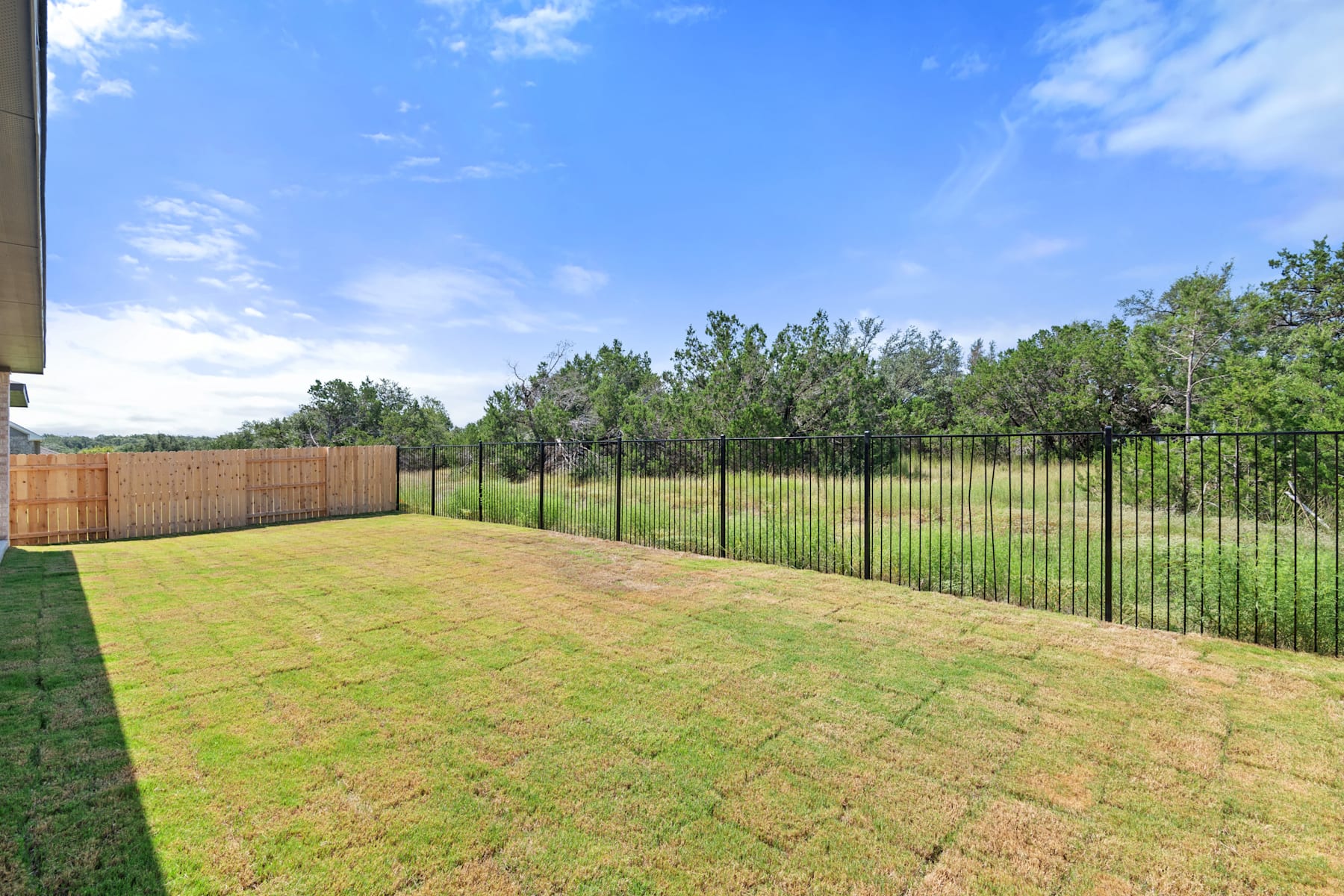 A grassy backyard with a wooden fence, surrounded by a lush forest under a clear blue sky with scattered clouds.