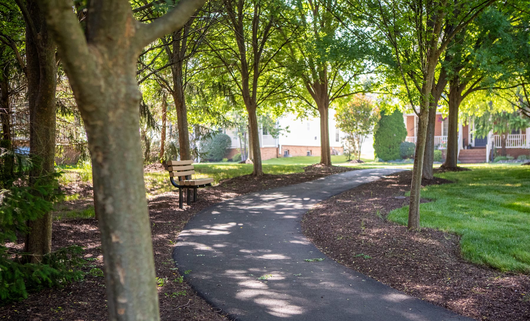 A peaceful, tree-lined path winds through a lush, green park, with a bench visible in the foreground and buildings in the background.