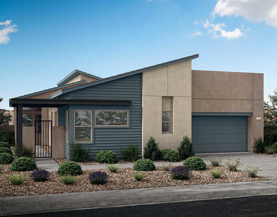 A modern, single-story house with a gray exterior, a garage, and a well-landscaped front yard featuring shrubs and plants.
