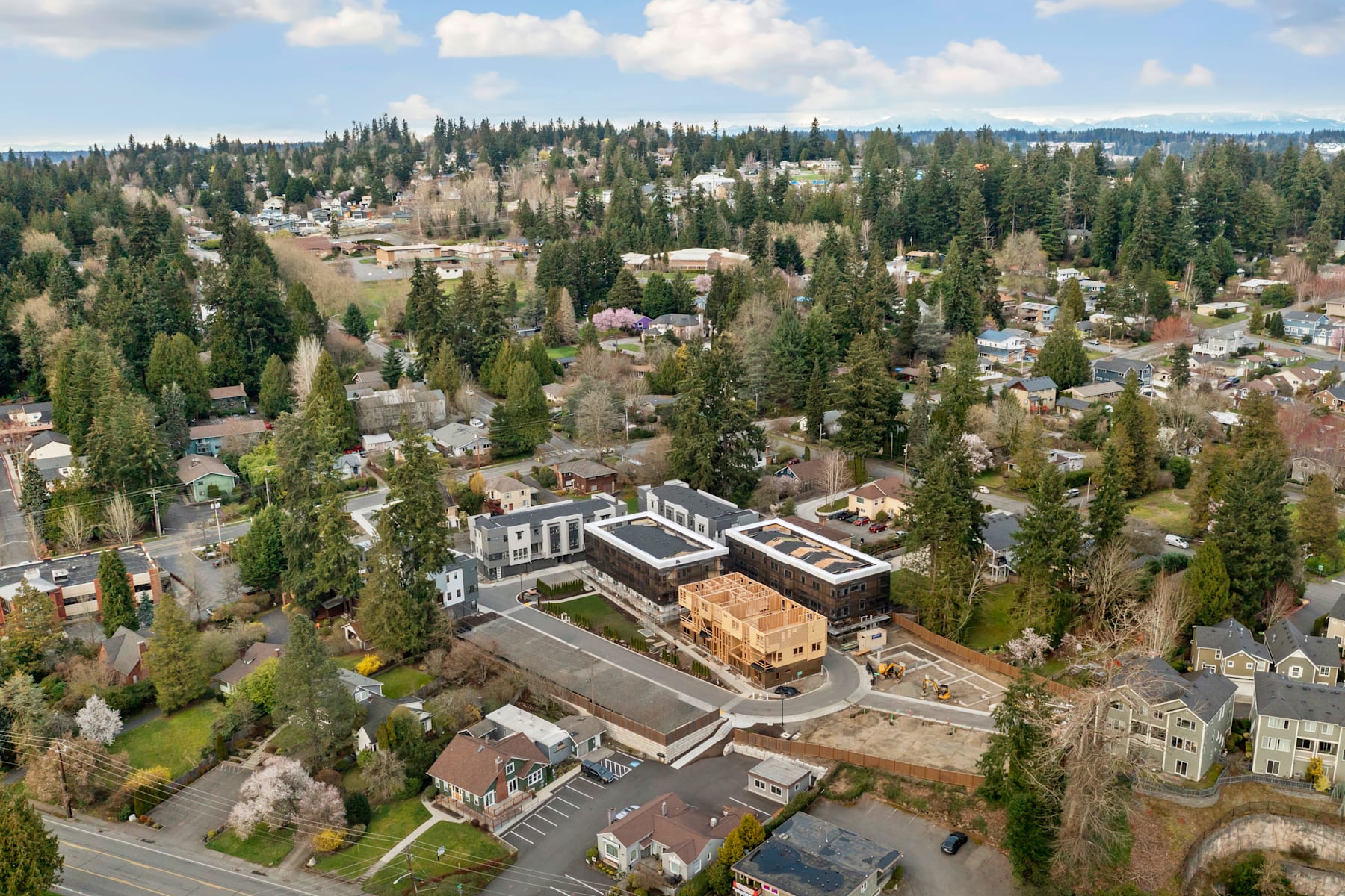 Interested in Arborstone?