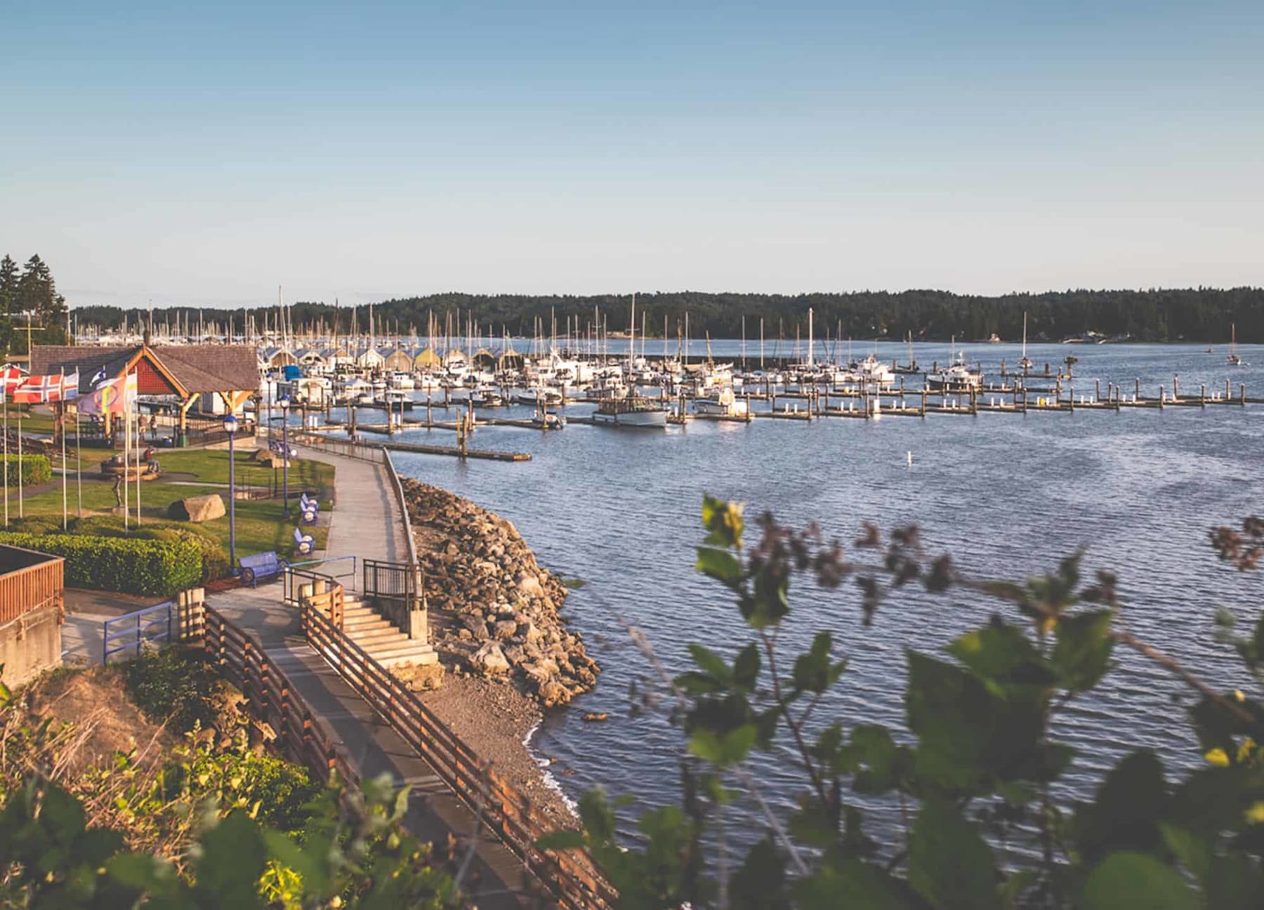 A Scandinavian Gem in the Pacific Northwest