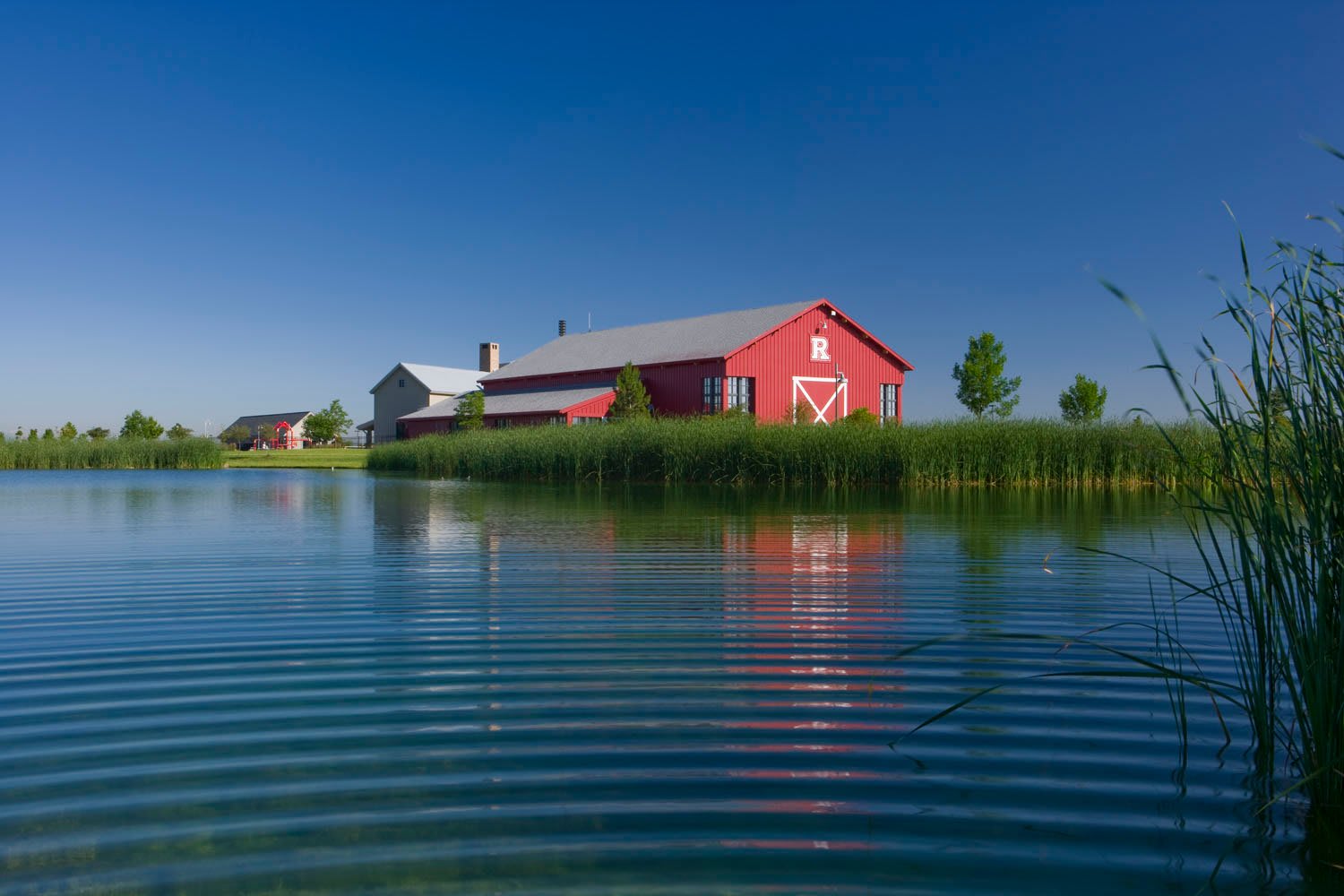 Find Out What's on the Horizon at Reunion