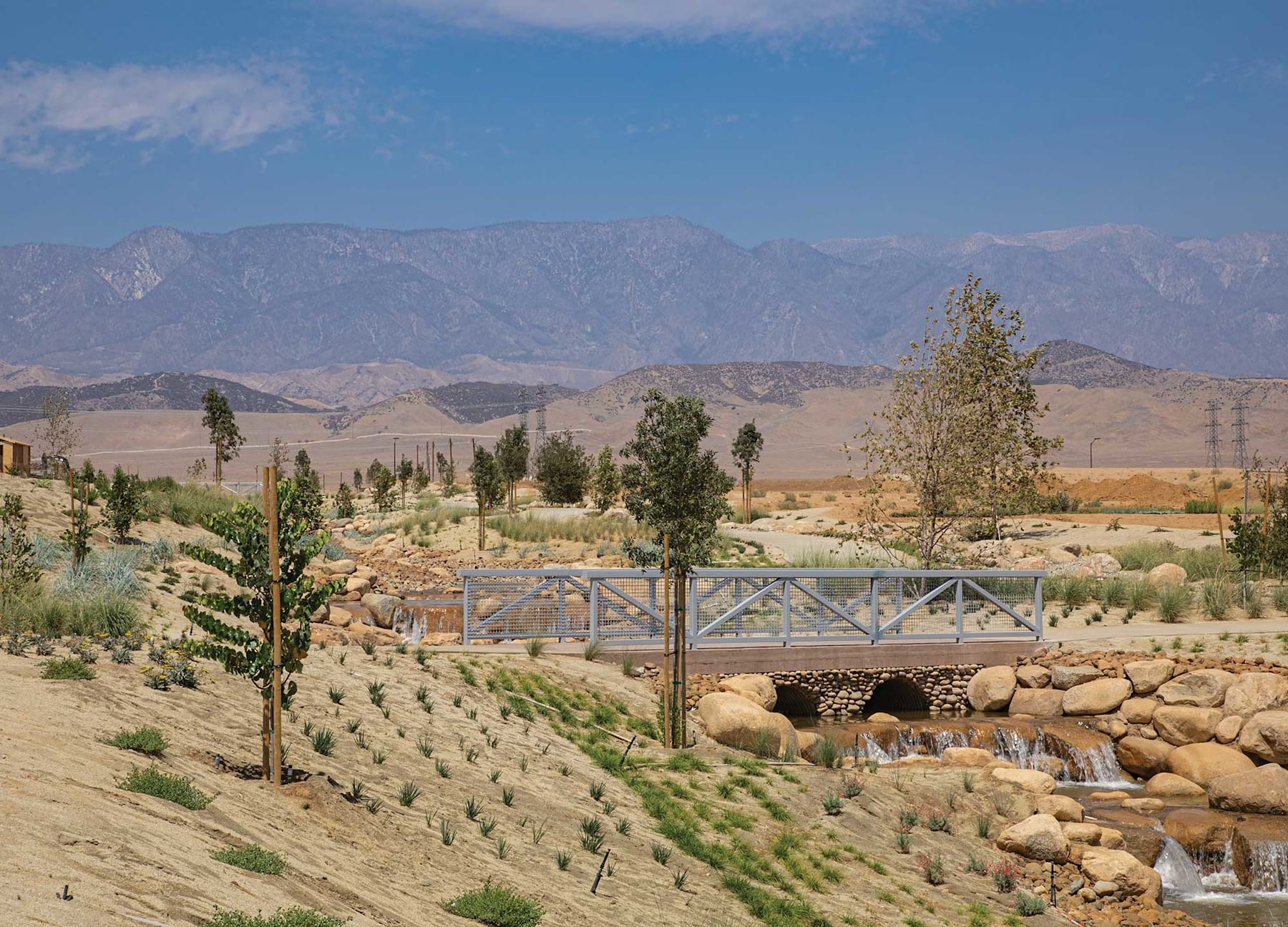 Gratitude in Nature: Enhance Your Well-Being in the Great Outdoors