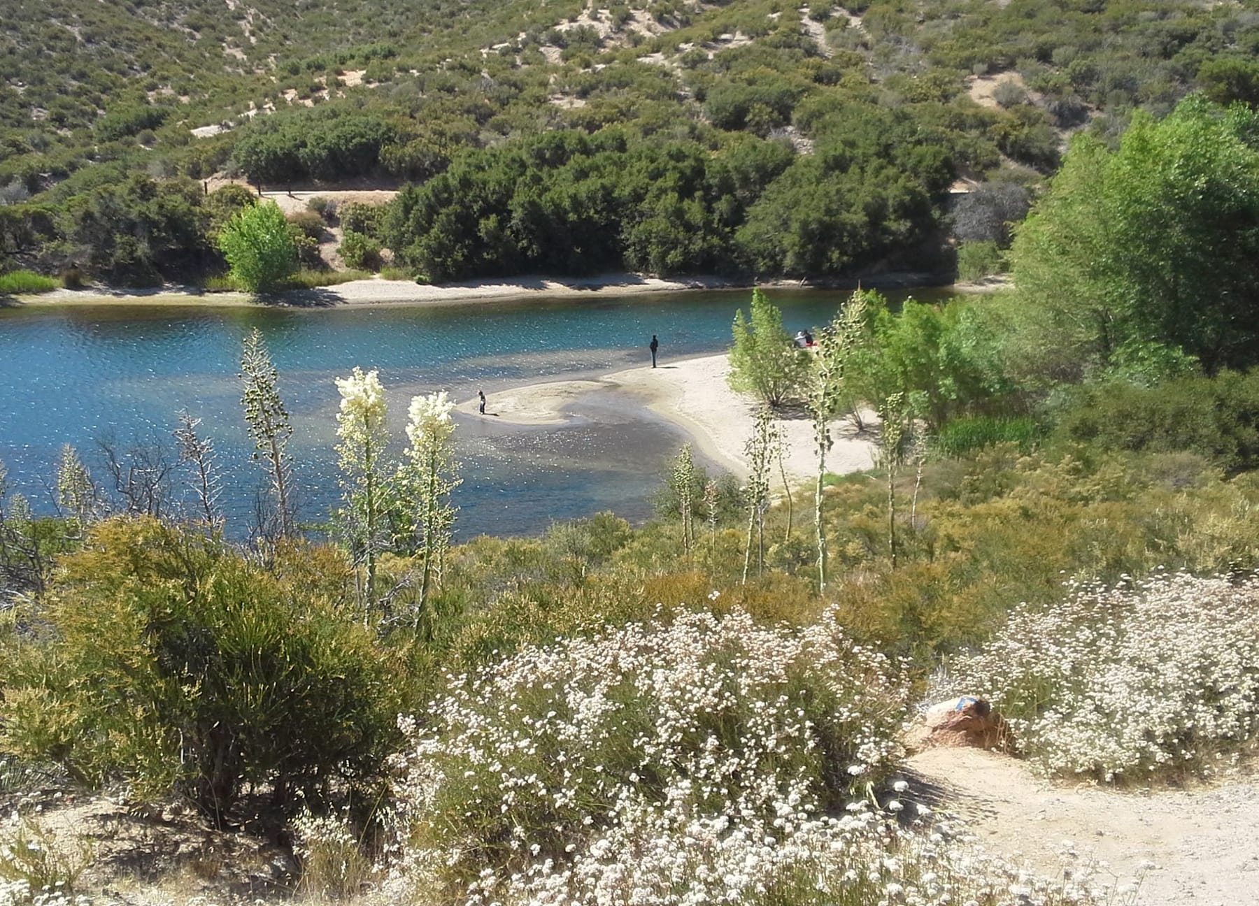 Get Wet! Dive Into These Nearby Swimming Holes
