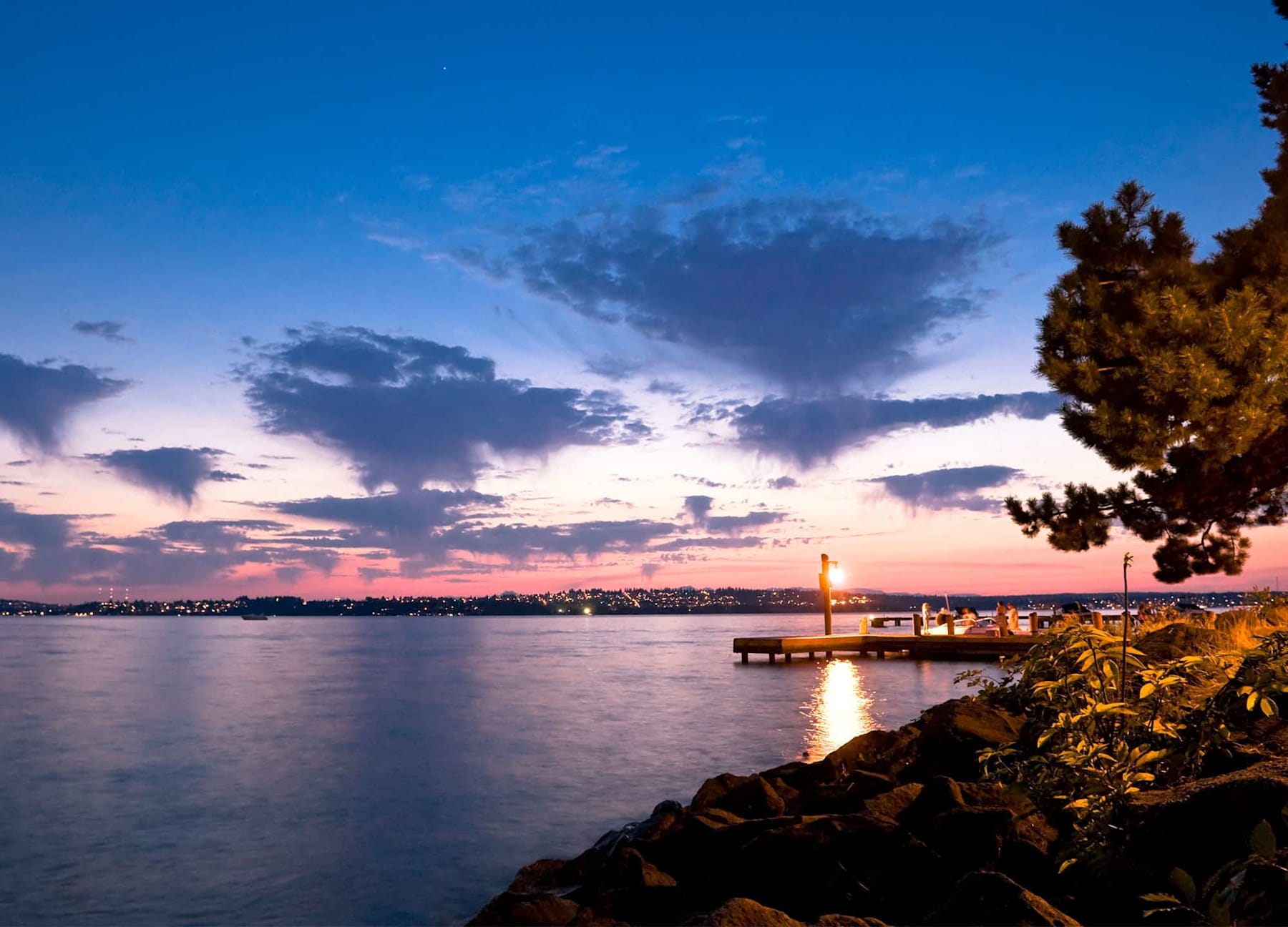 A Home For All Reasons