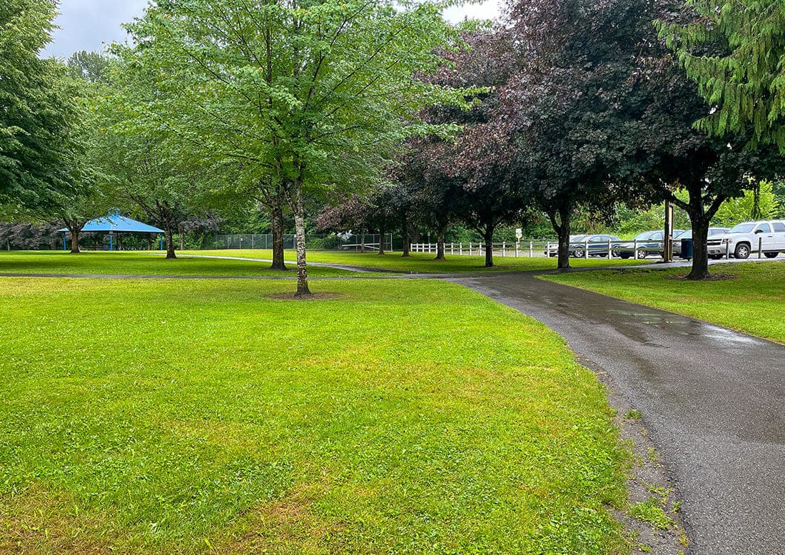 A Local's Guide: 10 Fun Things to do in Monroe