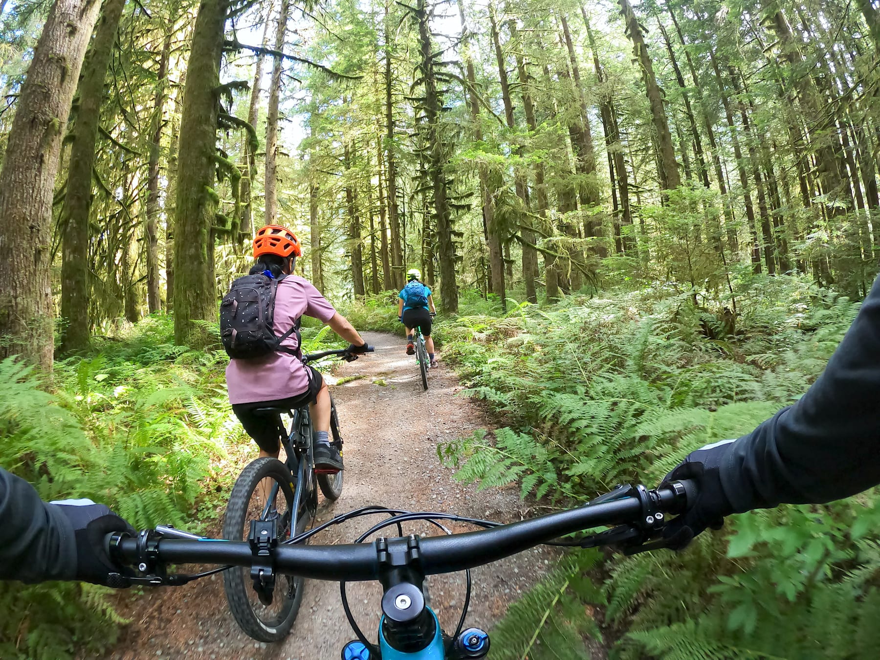 A group of cyclists riding on a trail through a lush, green forest, surrounded by tall trees and dense vegetation.