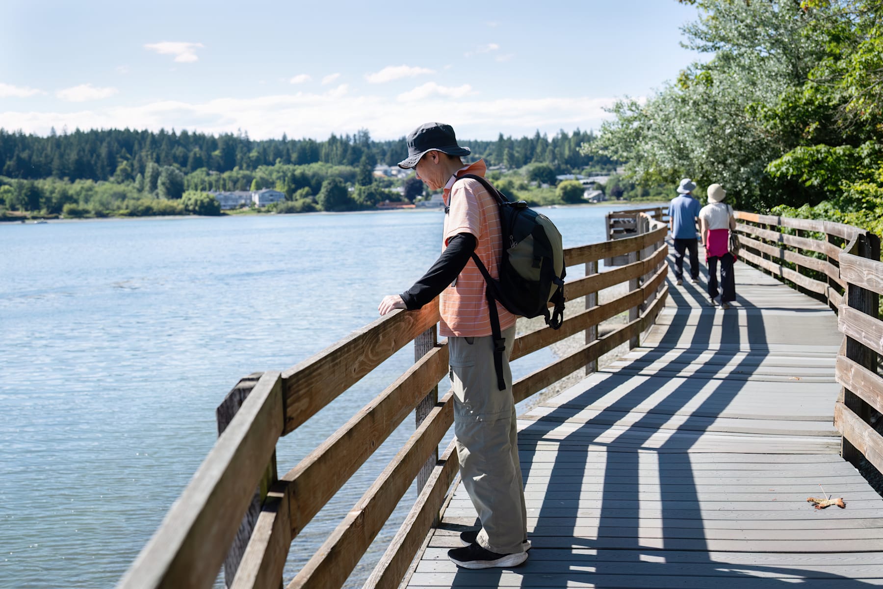 A wooden walkway extends over a serene lake, surrounded by lush green forests and a clear blue sky with scattered clouds.
