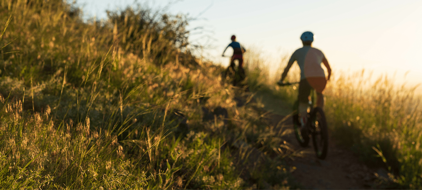 Get in Touch to Learn More