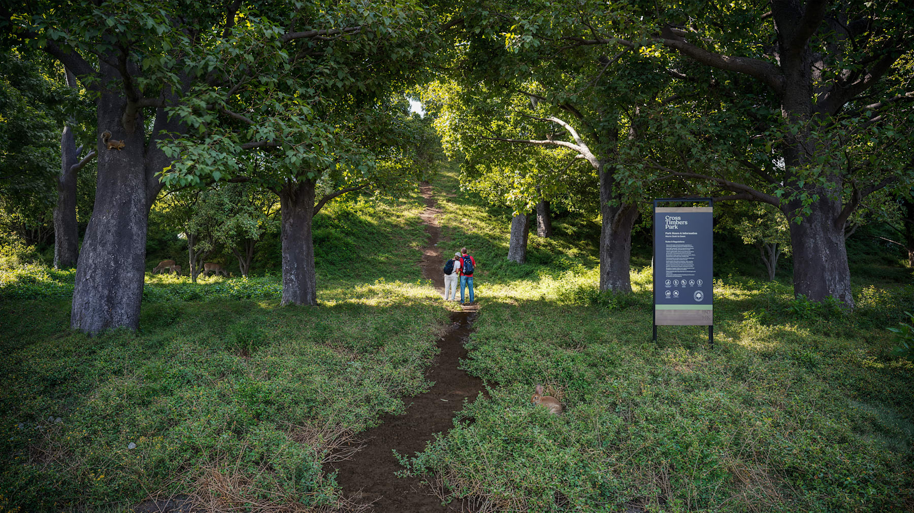 A dirt path winds through a lush, green forest, with tall trees providing a canopy of shade. In the foreground, a person can be seen walking along the trail.